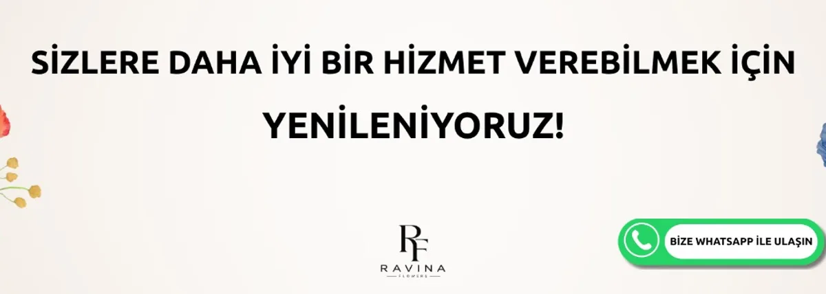 Yenileniyoruz !!