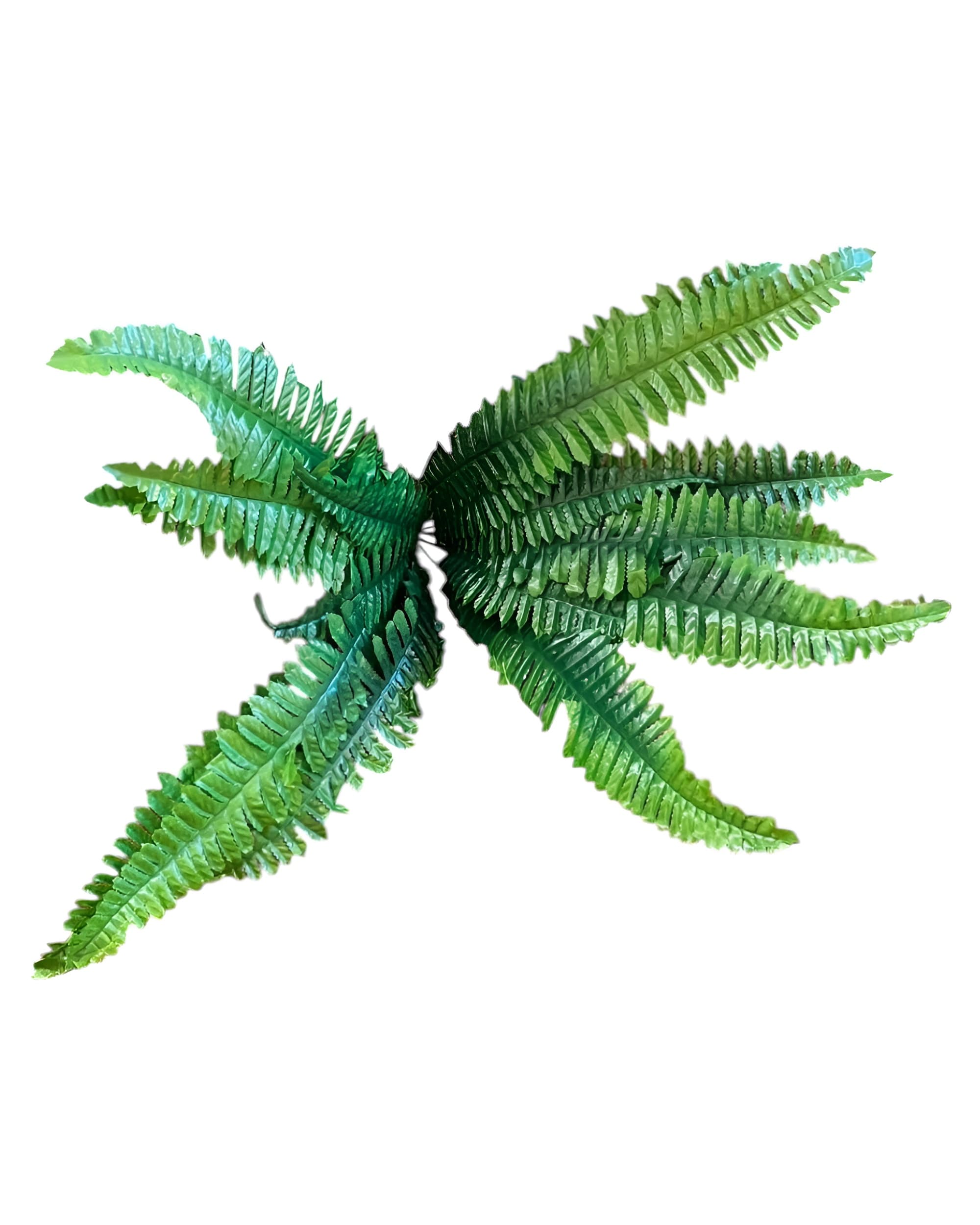 18 DALLI YAPAY AŞK MERDİVENİ 1