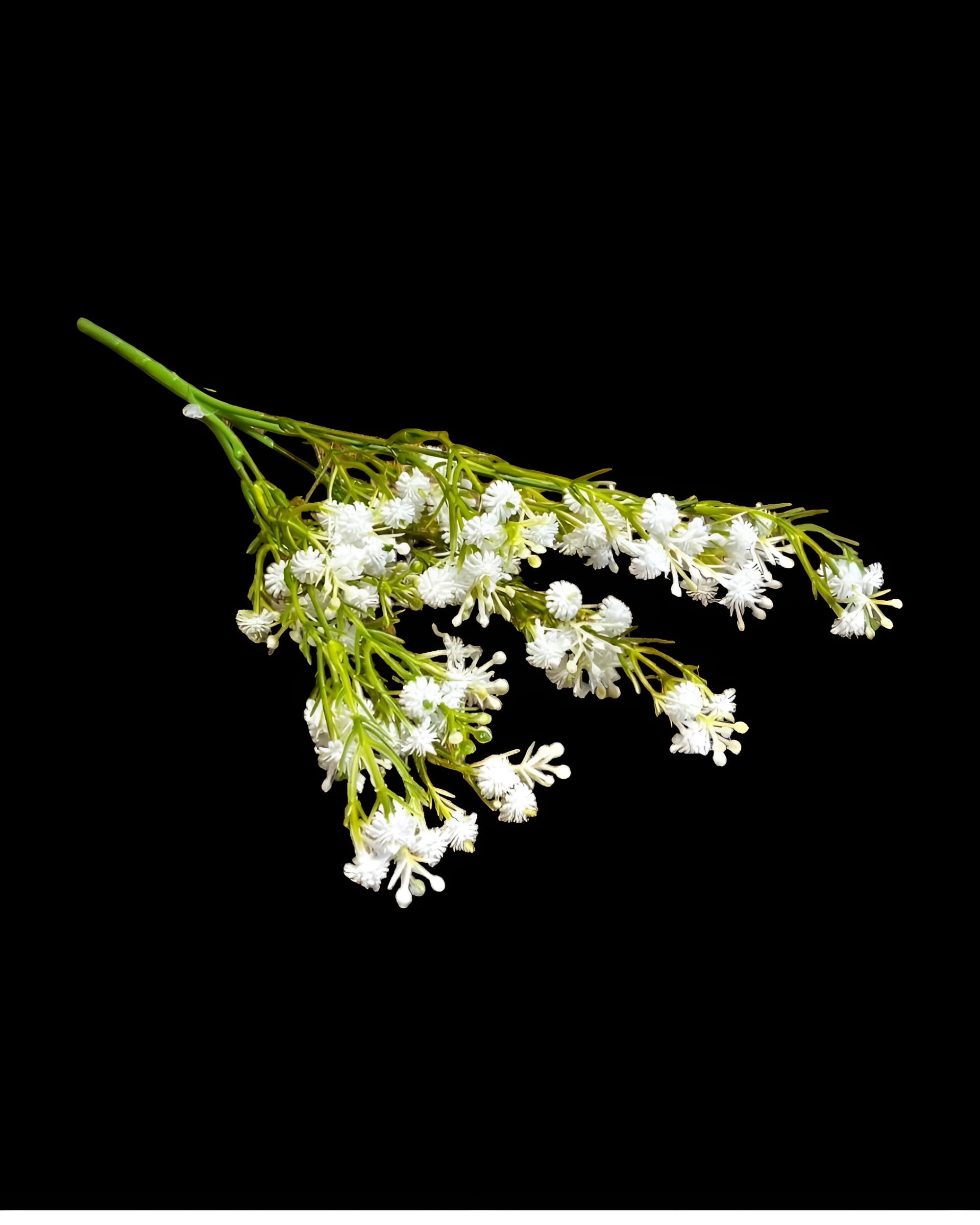 5 DALLI ISLAK CİPSO DEMETİ 30 CM 2