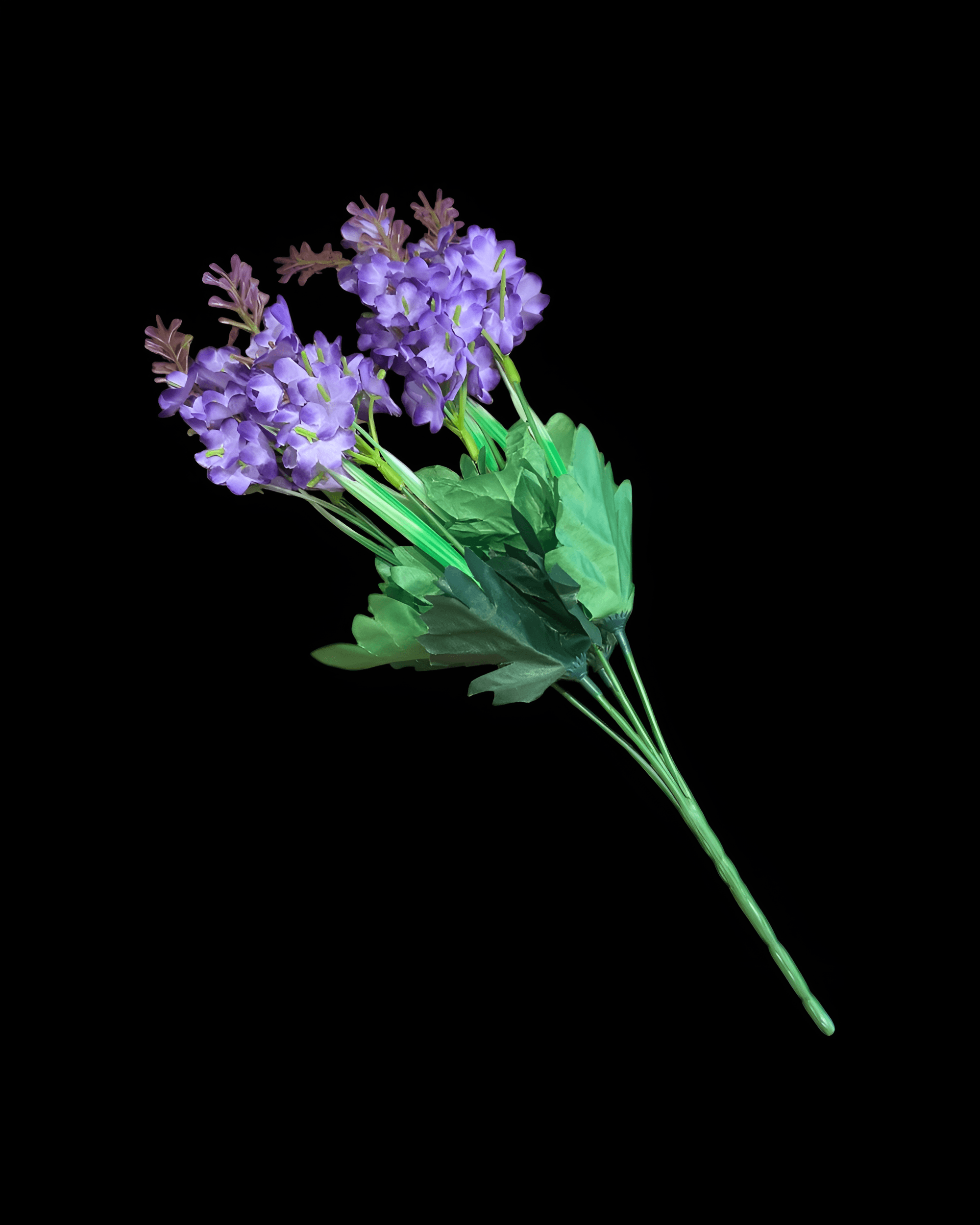 5 DALLI SÜMBÜL DEMETİ 3