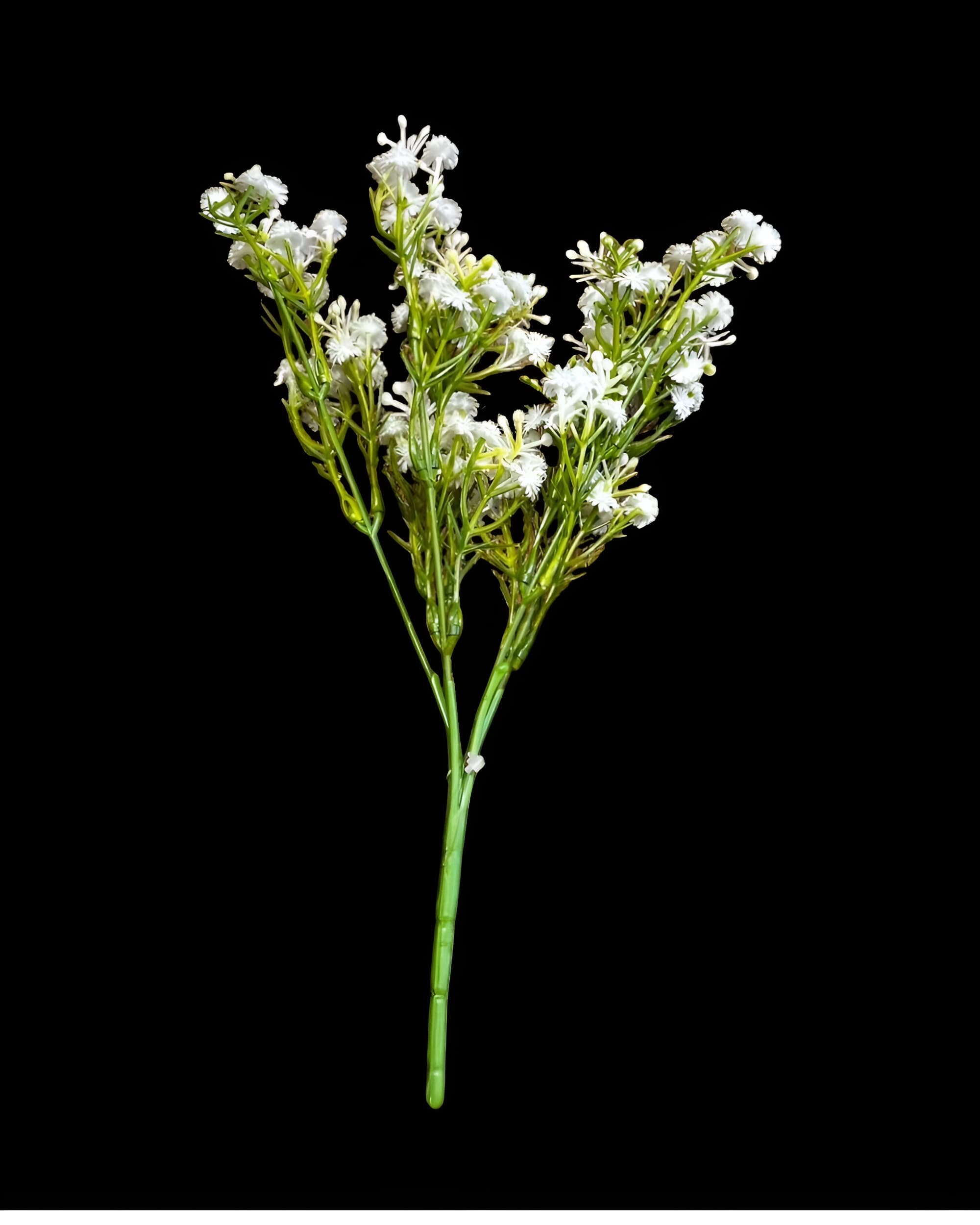 5 DALLI ISLAK CİPSO DEMETİ 30 CM 0