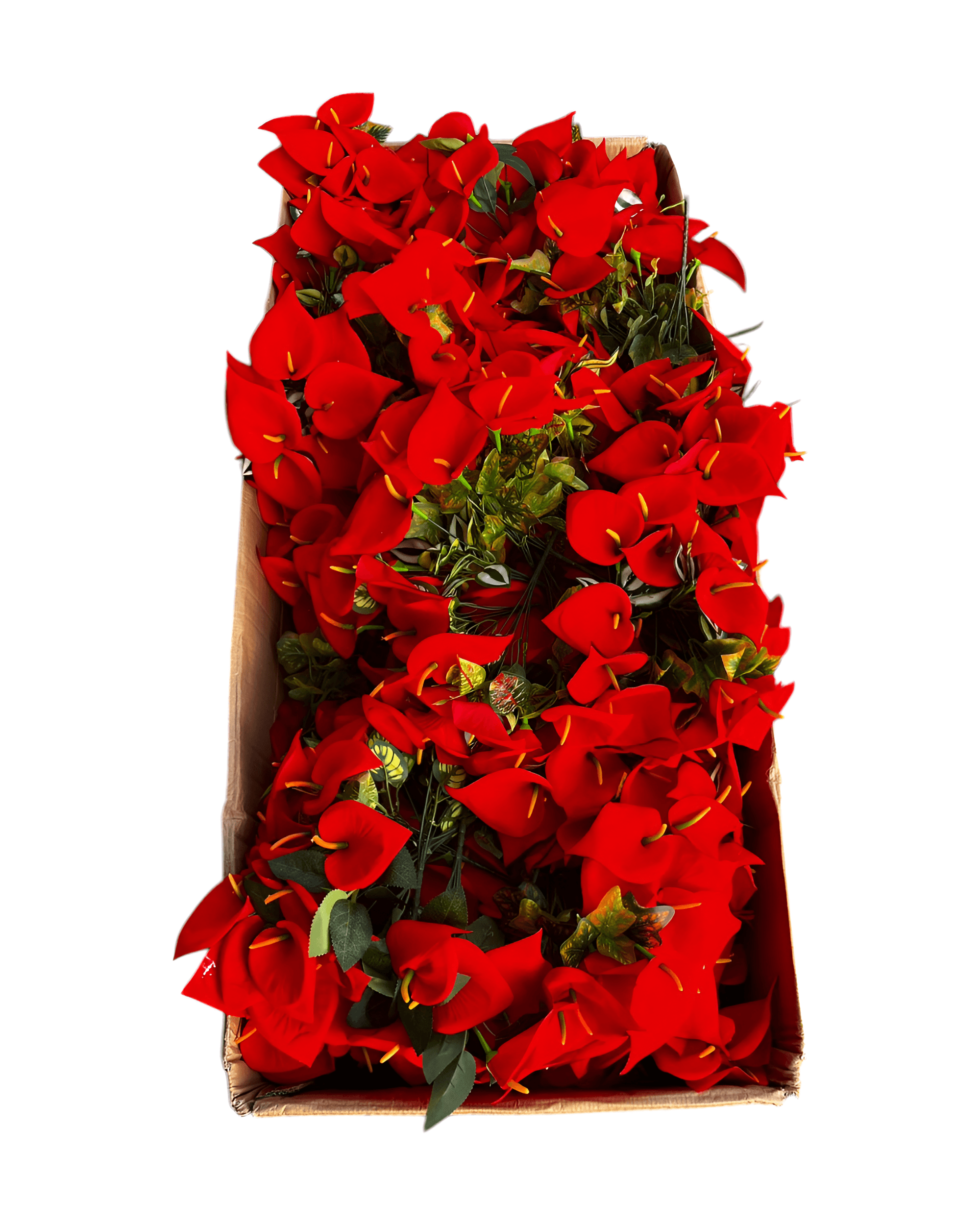 7'Lİ KADİFE GALA DEMETİ 3