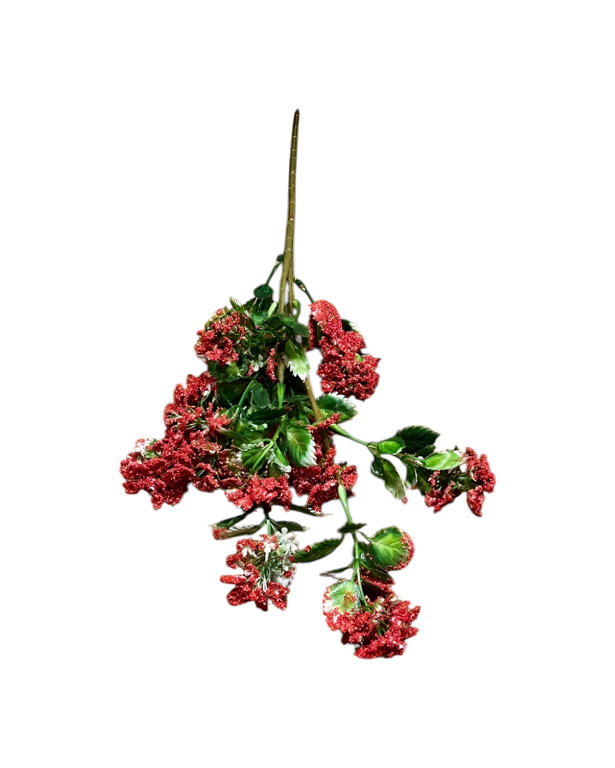 RENKLİ CİPSO DEMETİ 2