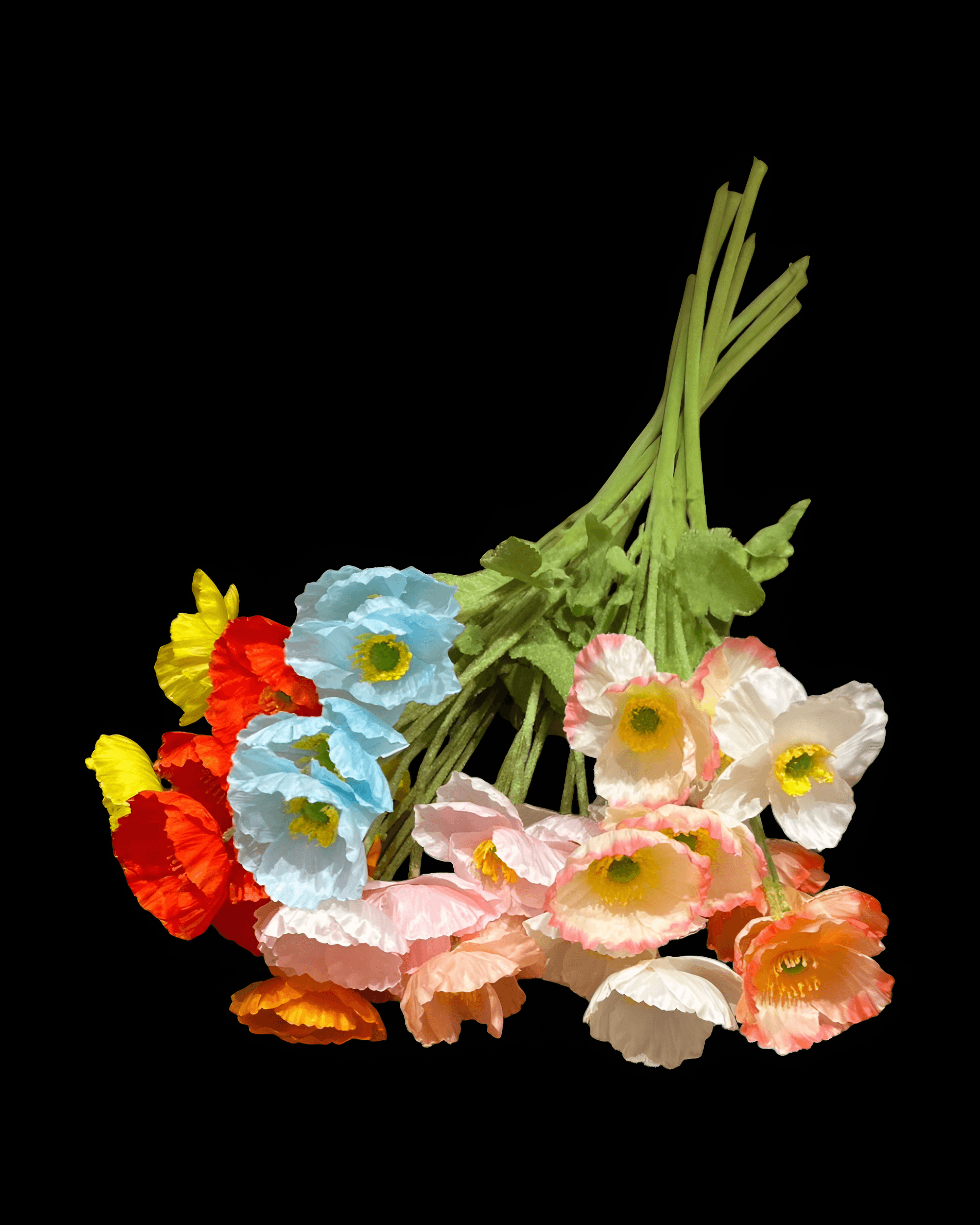 GELİNCİK ÇİÇEĞİ 4 BAŞLI 8