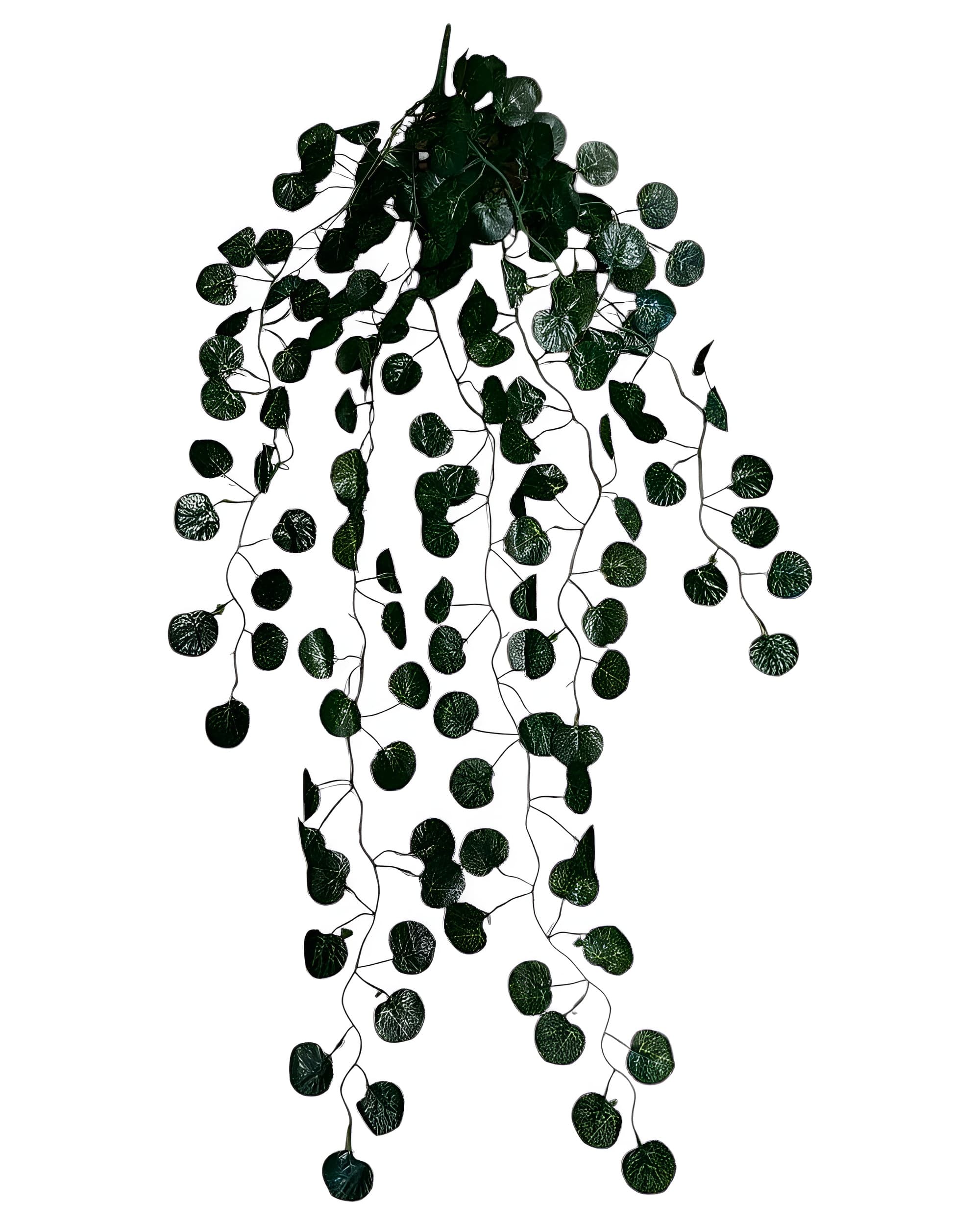 5 DALLI YUVARLAK YAPRAKLI SARKAN SARMAŞIK 85 CM 0