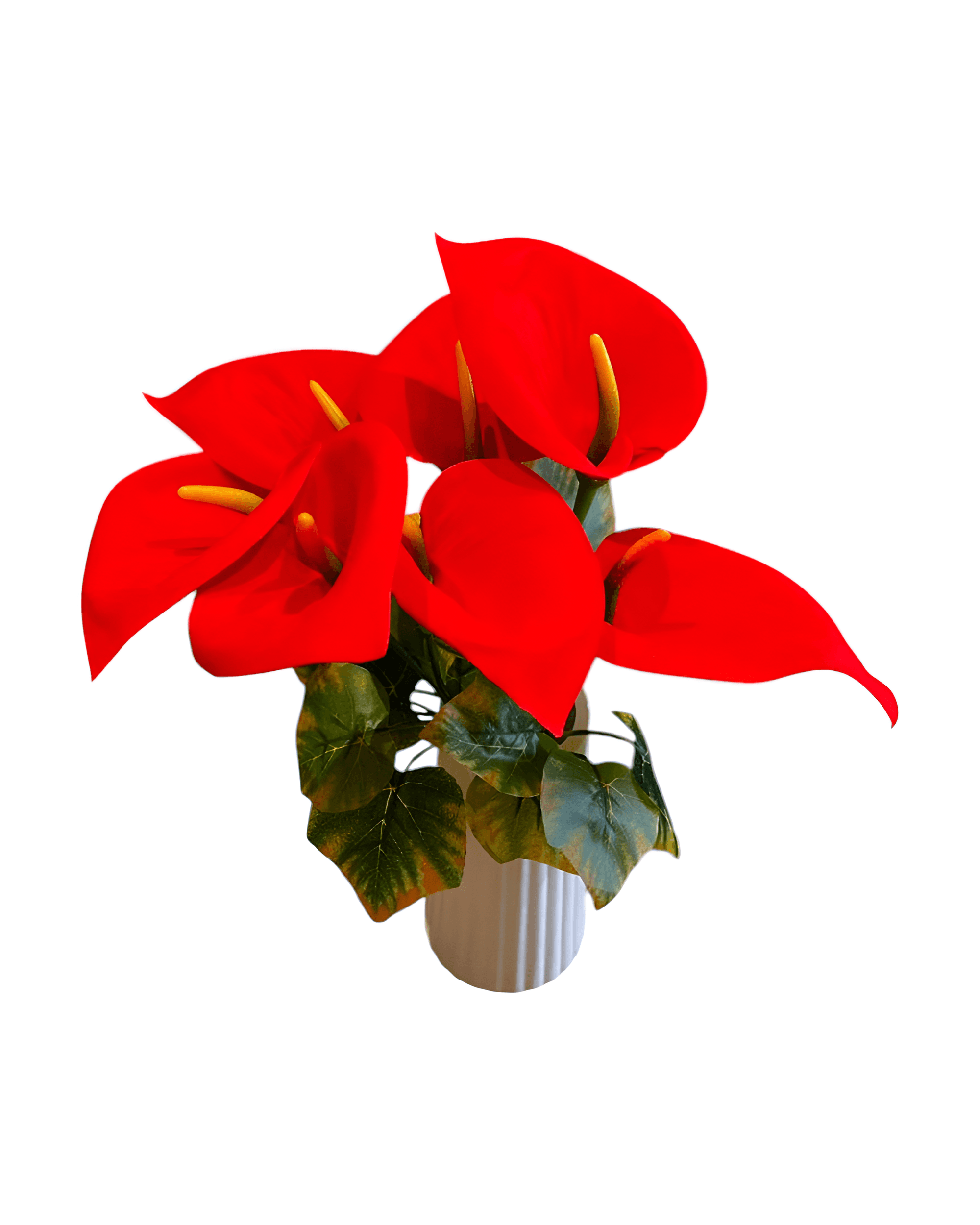 7'Lİ KADİFE GALA DEMETİ 0