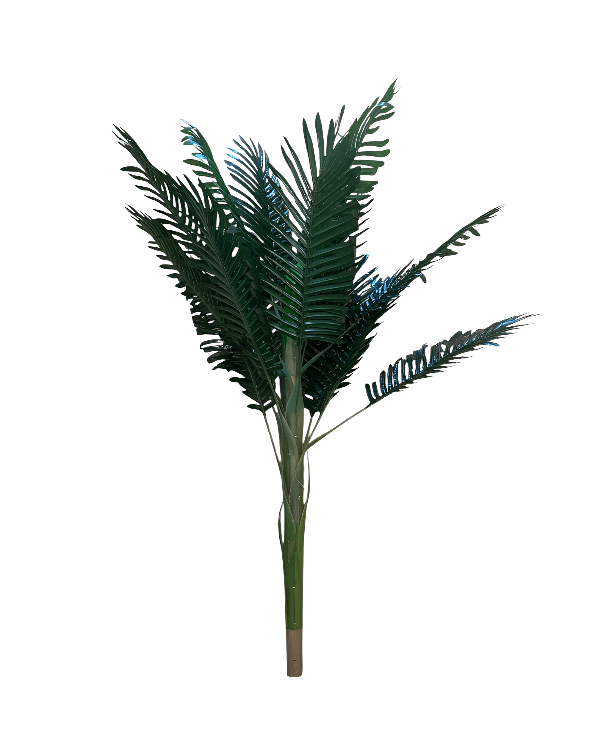 120 CM AREKA AĞAÇ