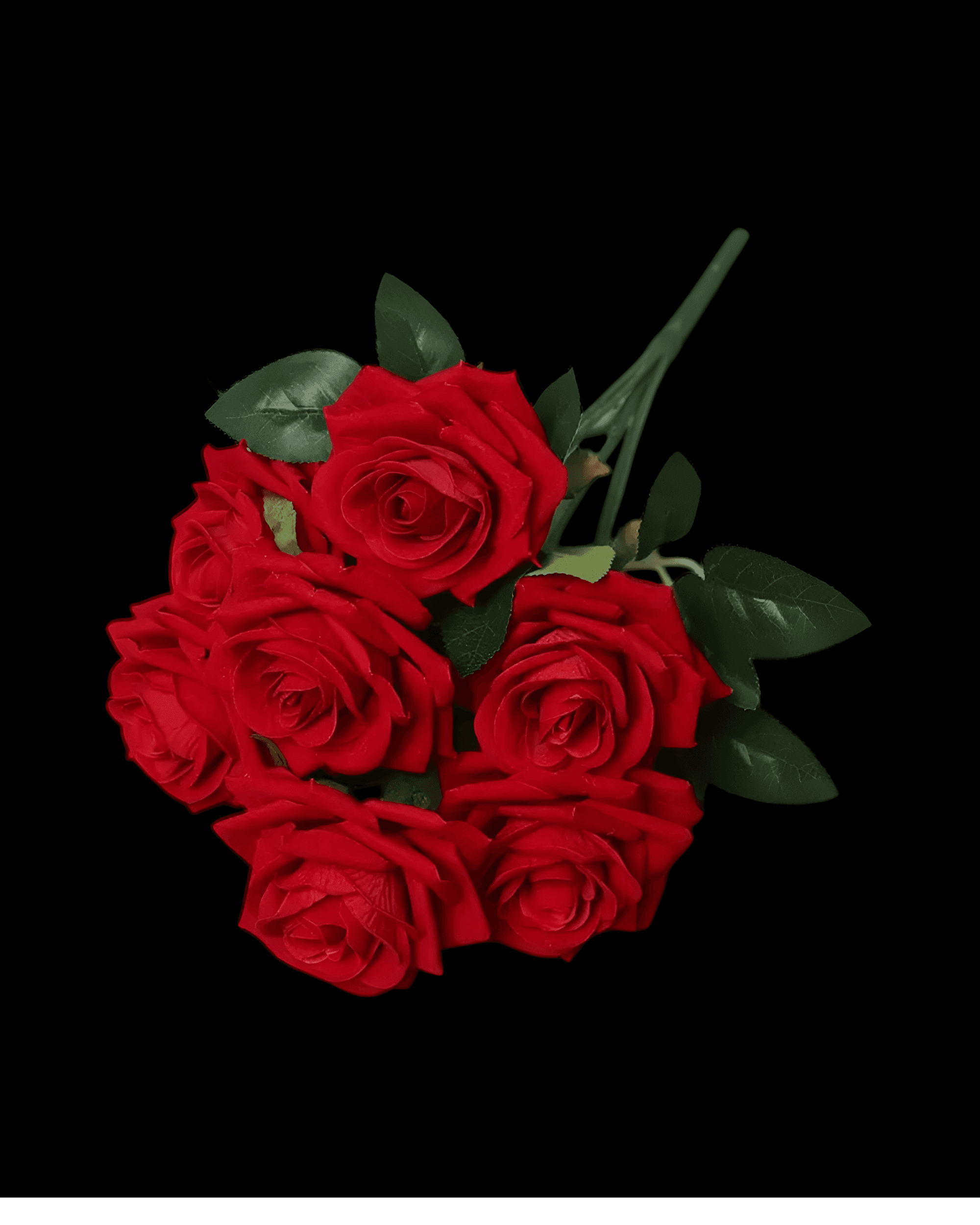 7 BAŞLI KADİFE GÜL - 2