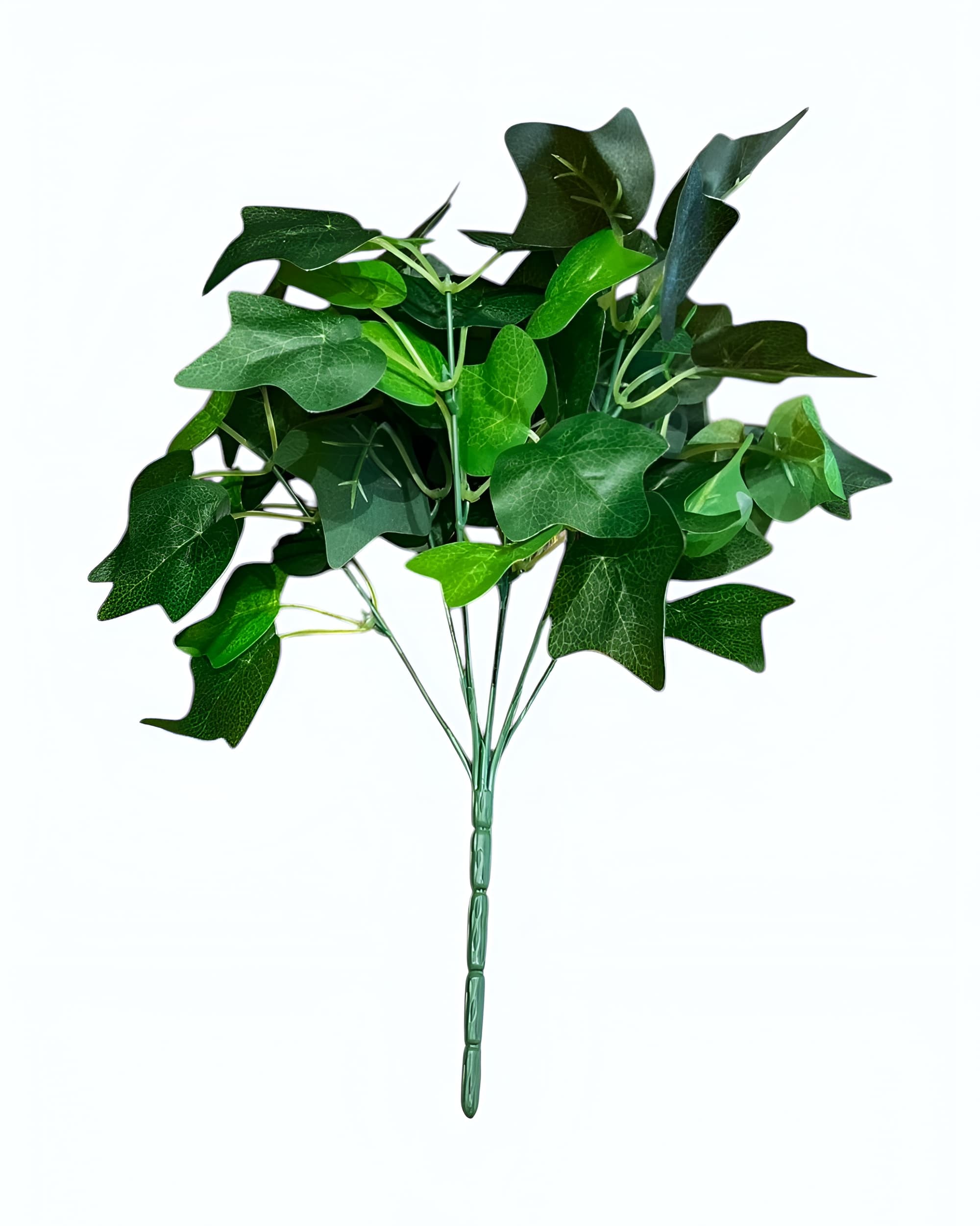 7 DALLI YEŞİLLİK DEMETİ - 1