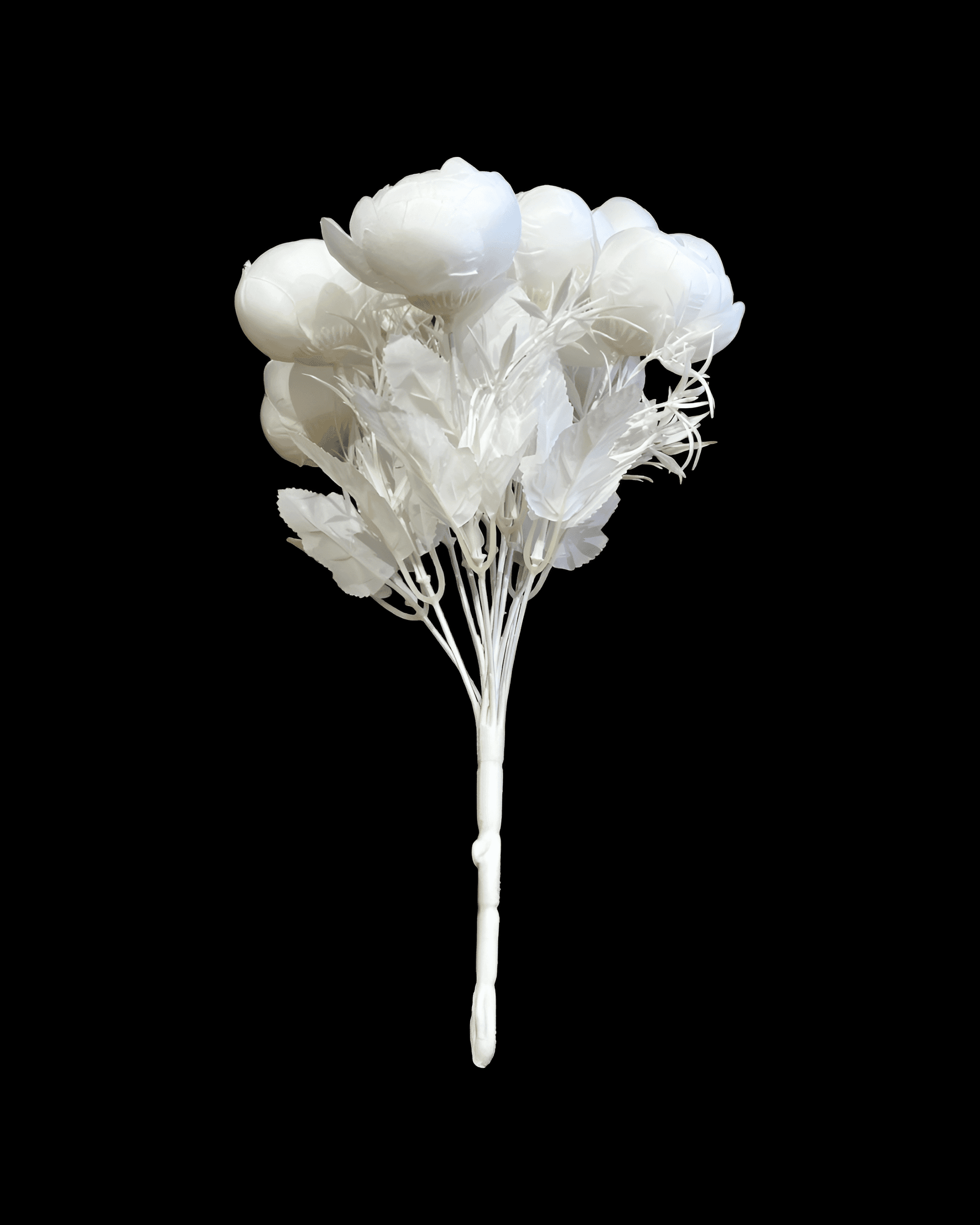 12 BAŞLI ŞAKAYIK - 6