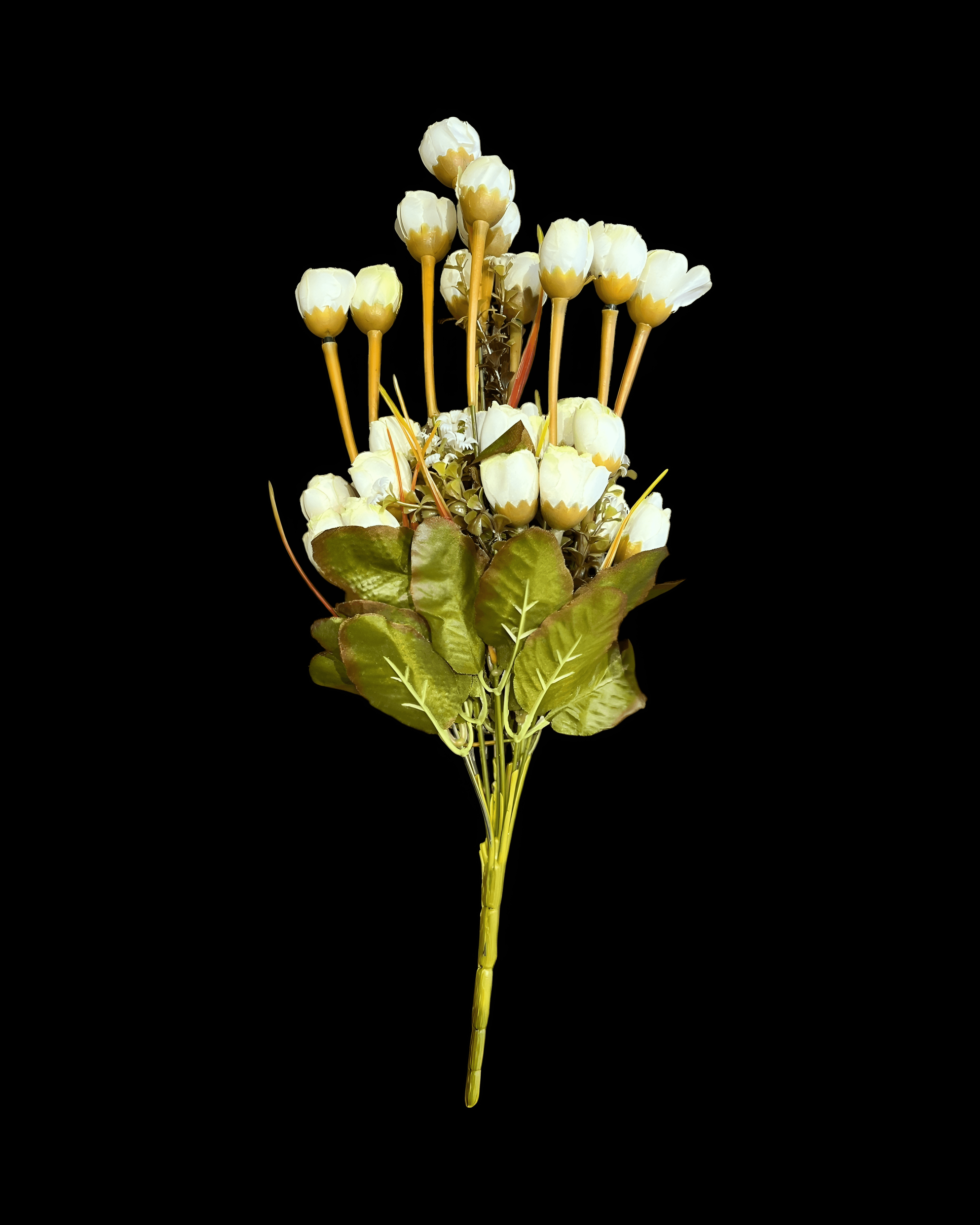 27 BAŞLI TOMURCUK DEMETİ 2