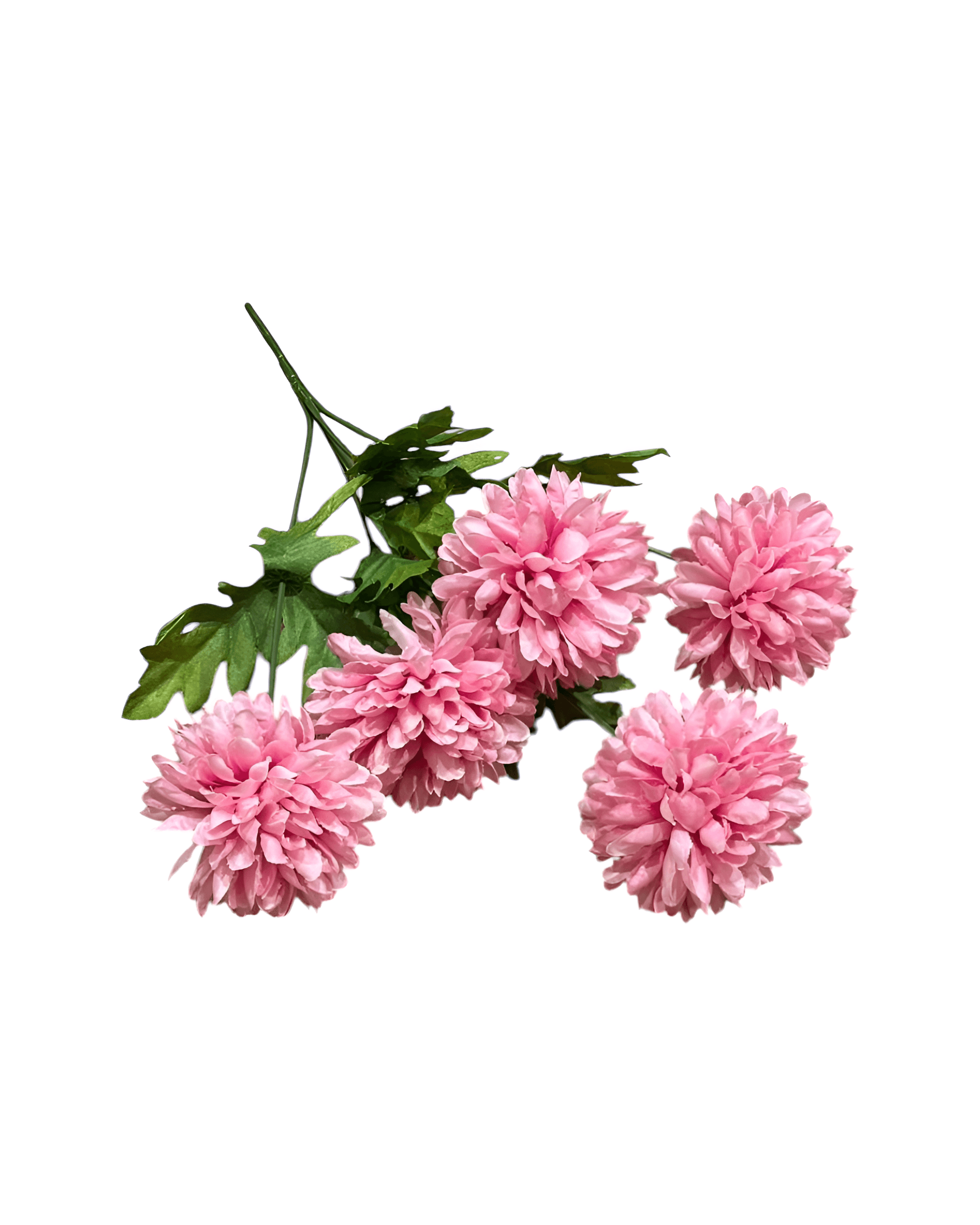 5 DALLI KASIMPATI - 1