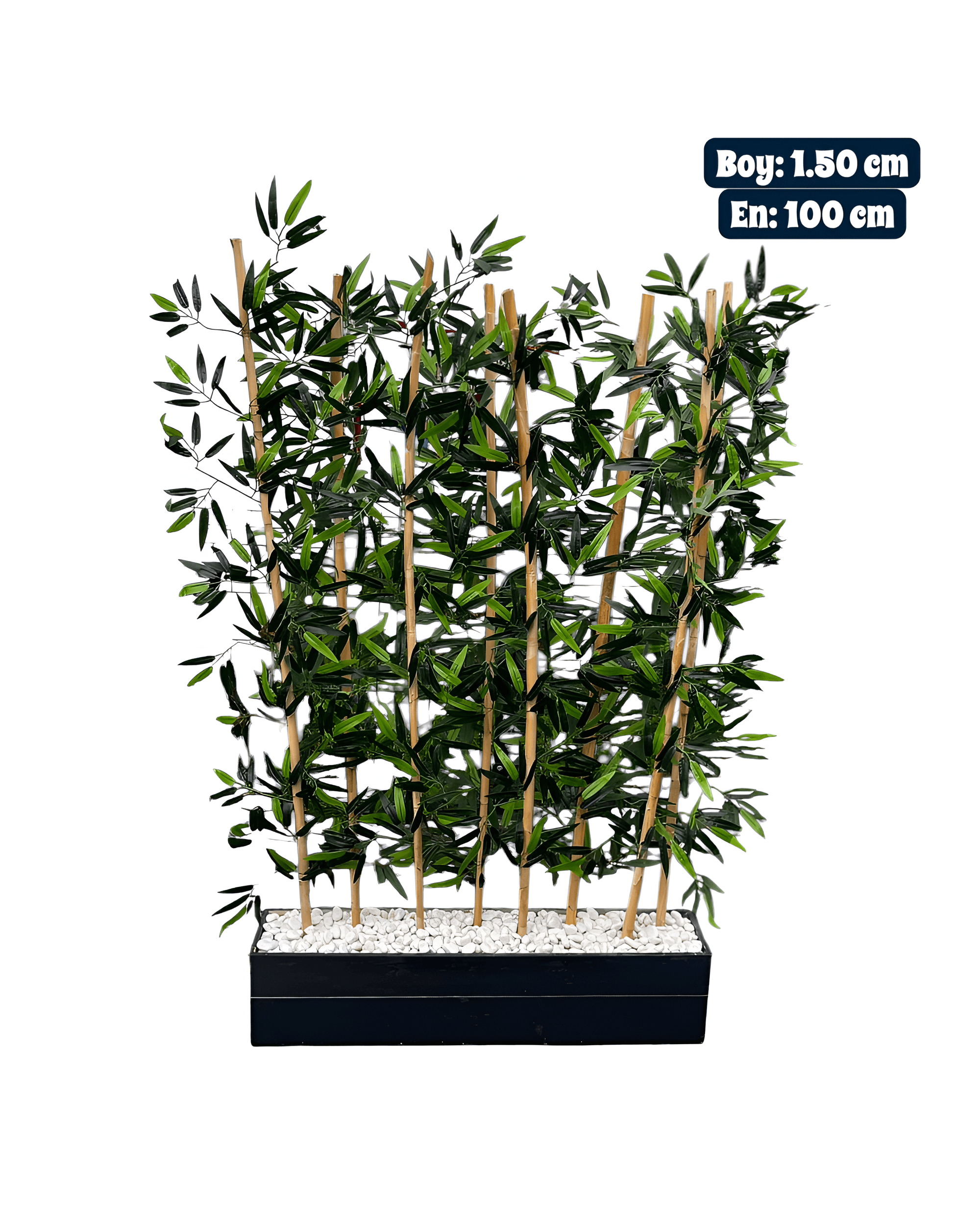 BAMBU ÇİT SAKSILI 0