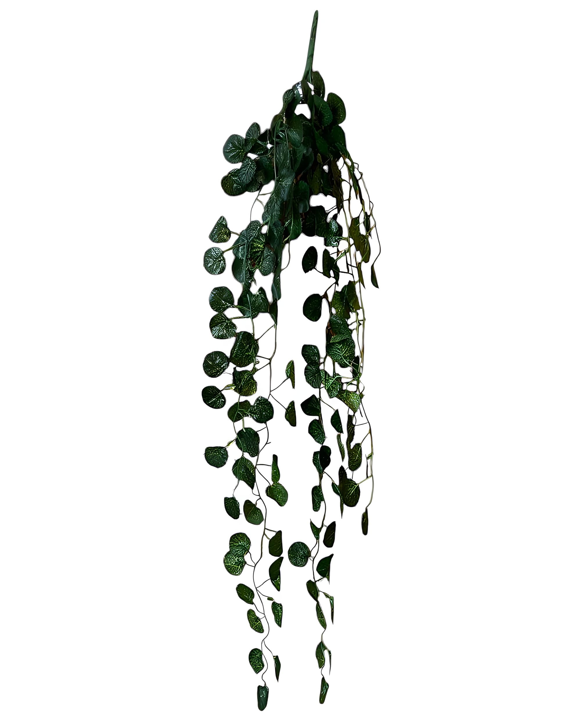 5 DALLI YUVARLAK YAPRAKLI SARKAN SARMAŞIK 85 CM - 3