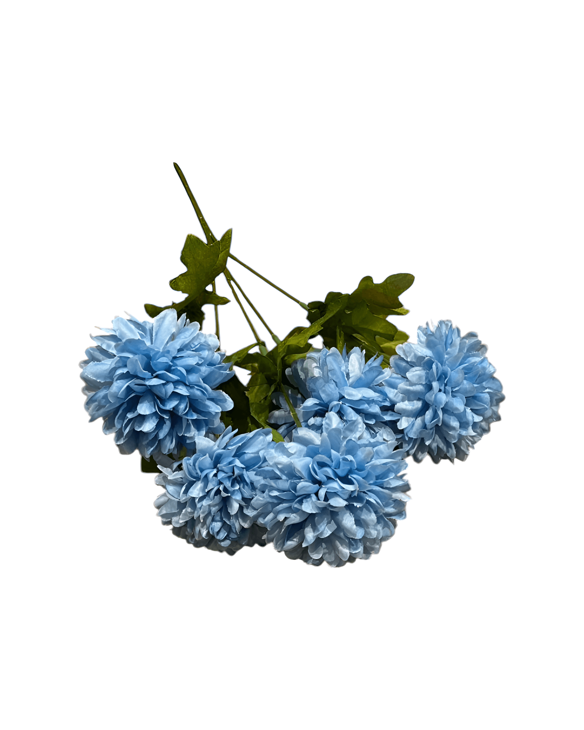 5 DALLI KASIMPATI - 3