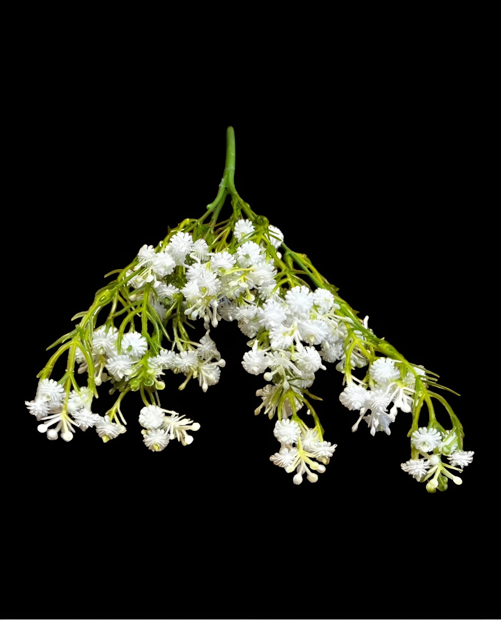 5 DALLI ISLAK CİPSO DEMETİ 30 CM 1