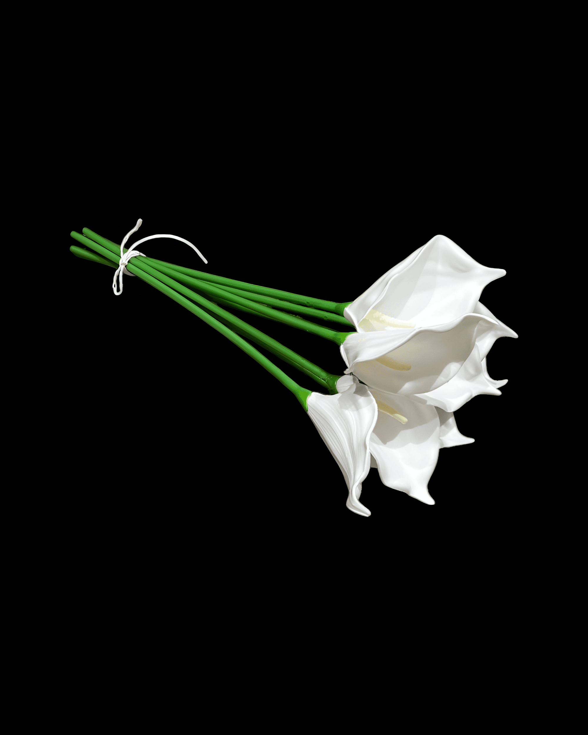 ISLAK GALA DEMETİ 8'Lİ - 2