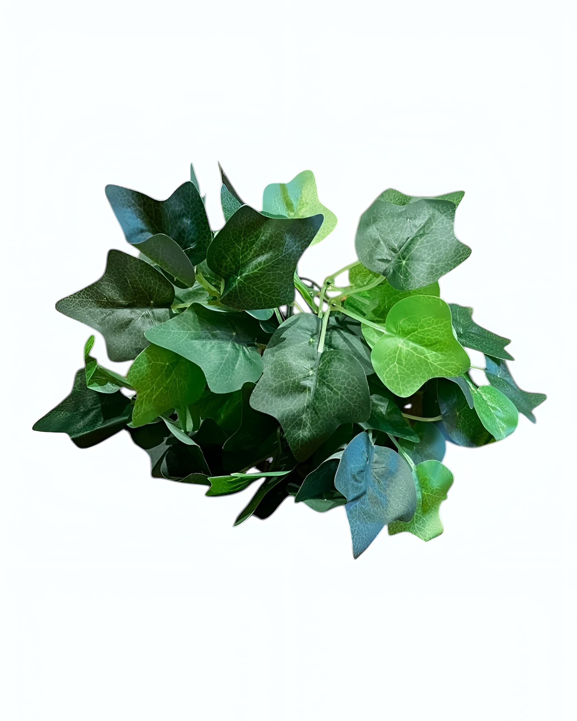 7 DALLI YEŞİLLİK DEMETİ 1