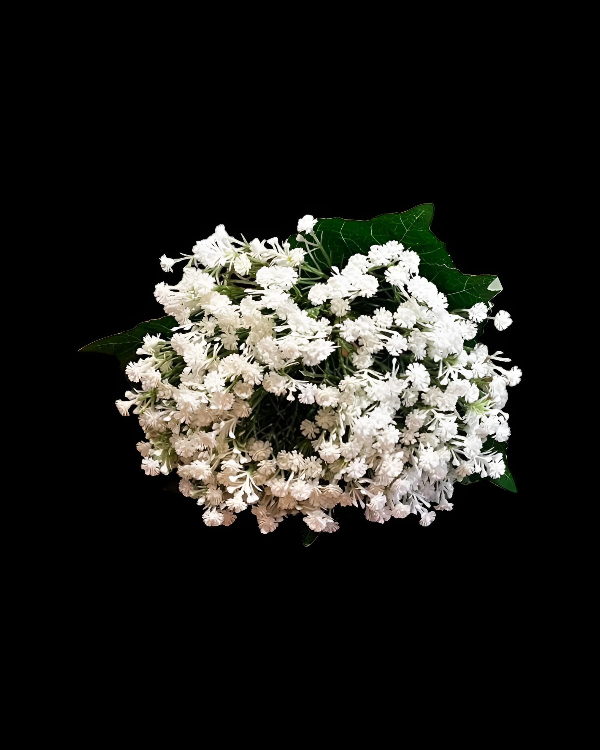 YAPAY CİPSO DEMETİ 2