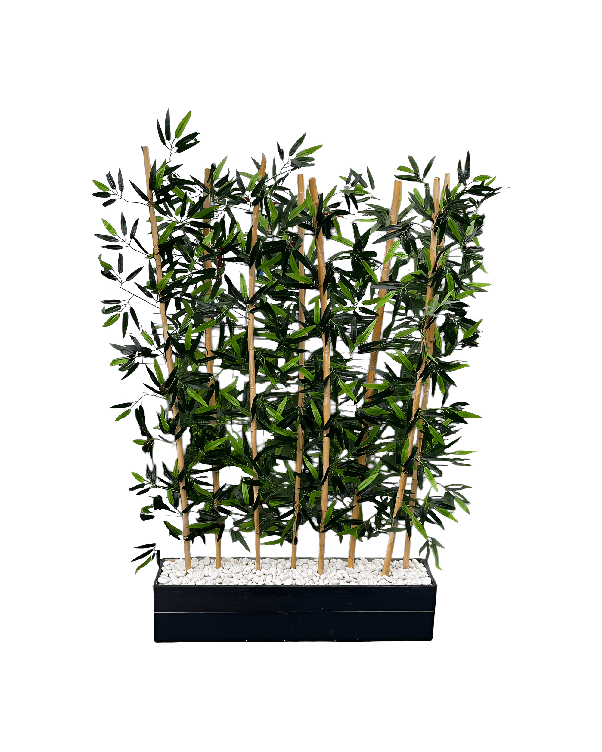 BAMBU ÇİT SAKSILI 3