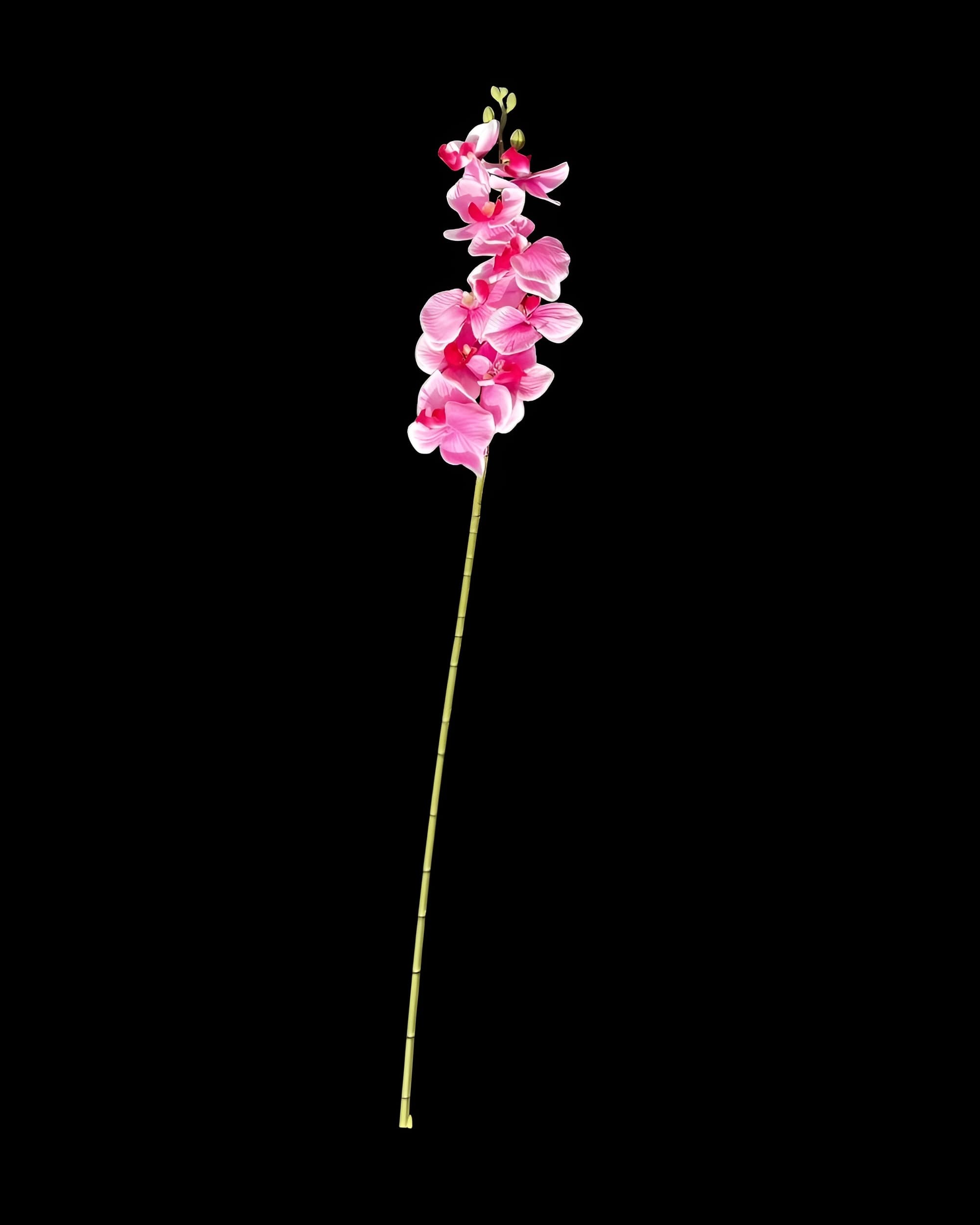 ORKİDE DAL 90 CM - 3