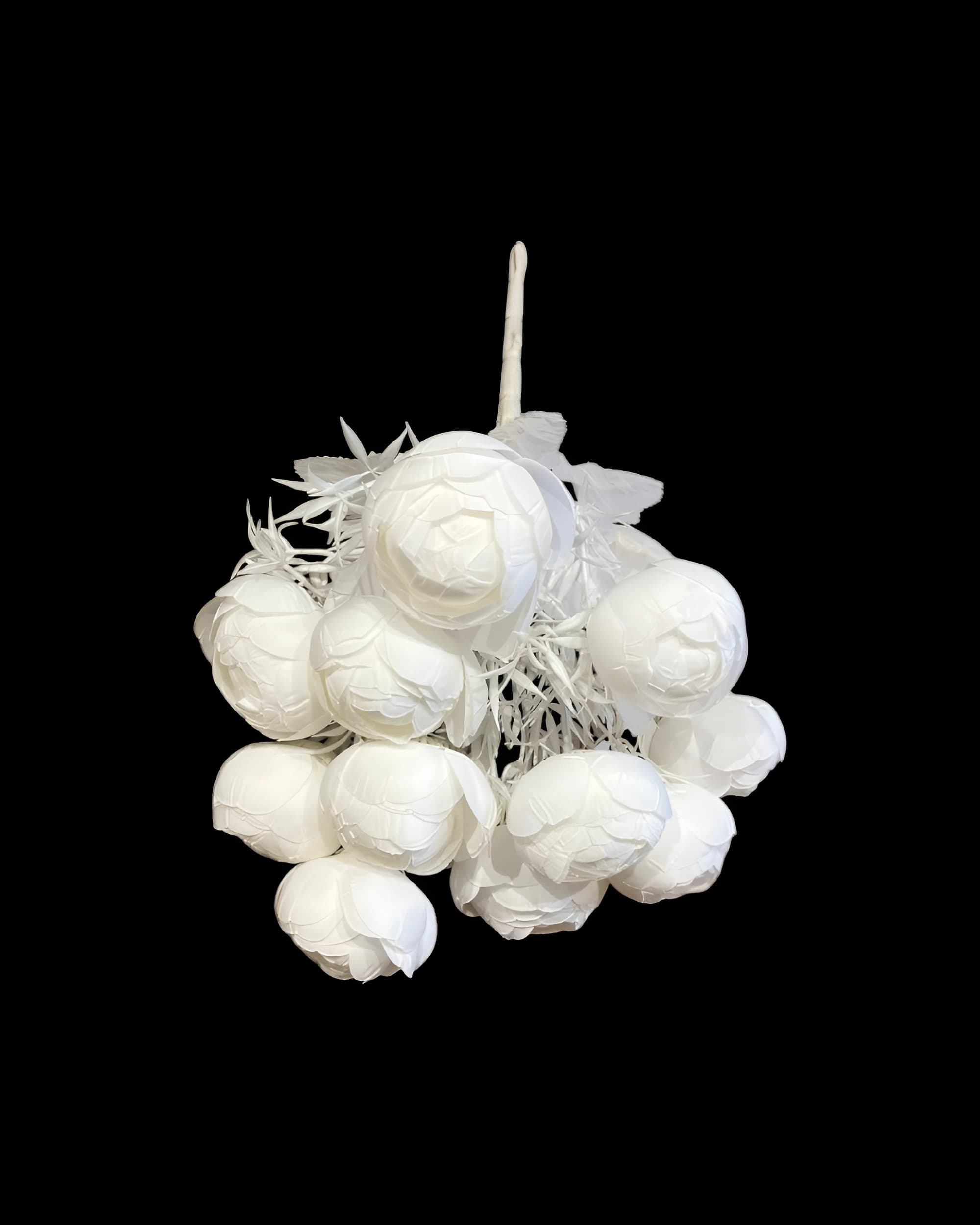 12 BAŞLI ŞAKAYIK - 1