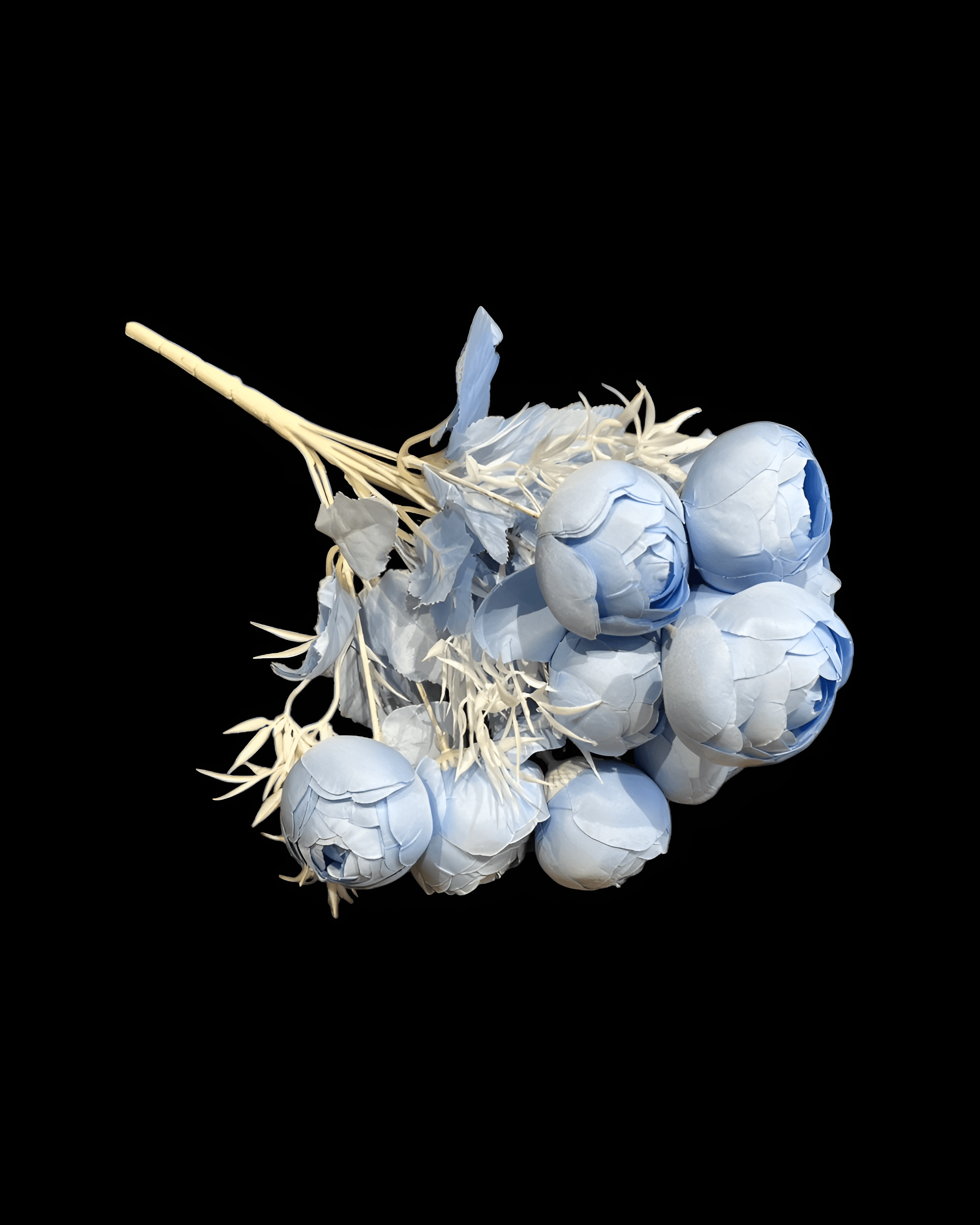 12 BAŞLI ŞAKAYIK - 5