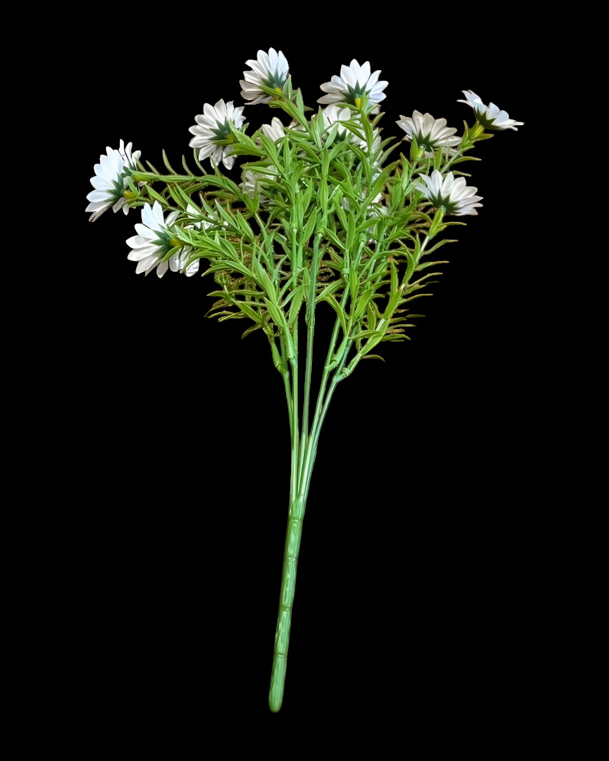 15 BAŞLI İĞNE YAPRAKLI KIR PAPATYASI 35 CM 2