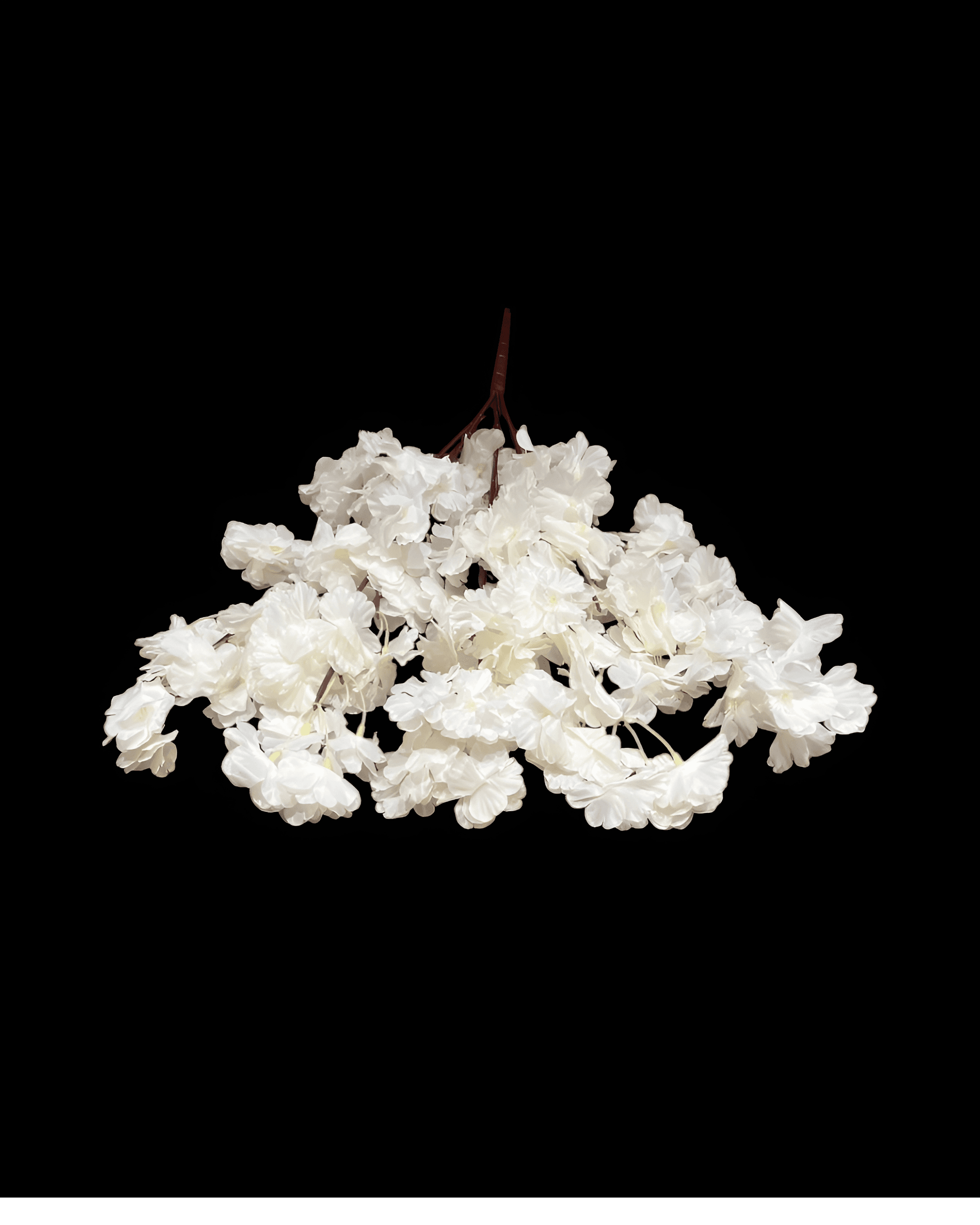 5'Lİ BAHAR DALI - 5