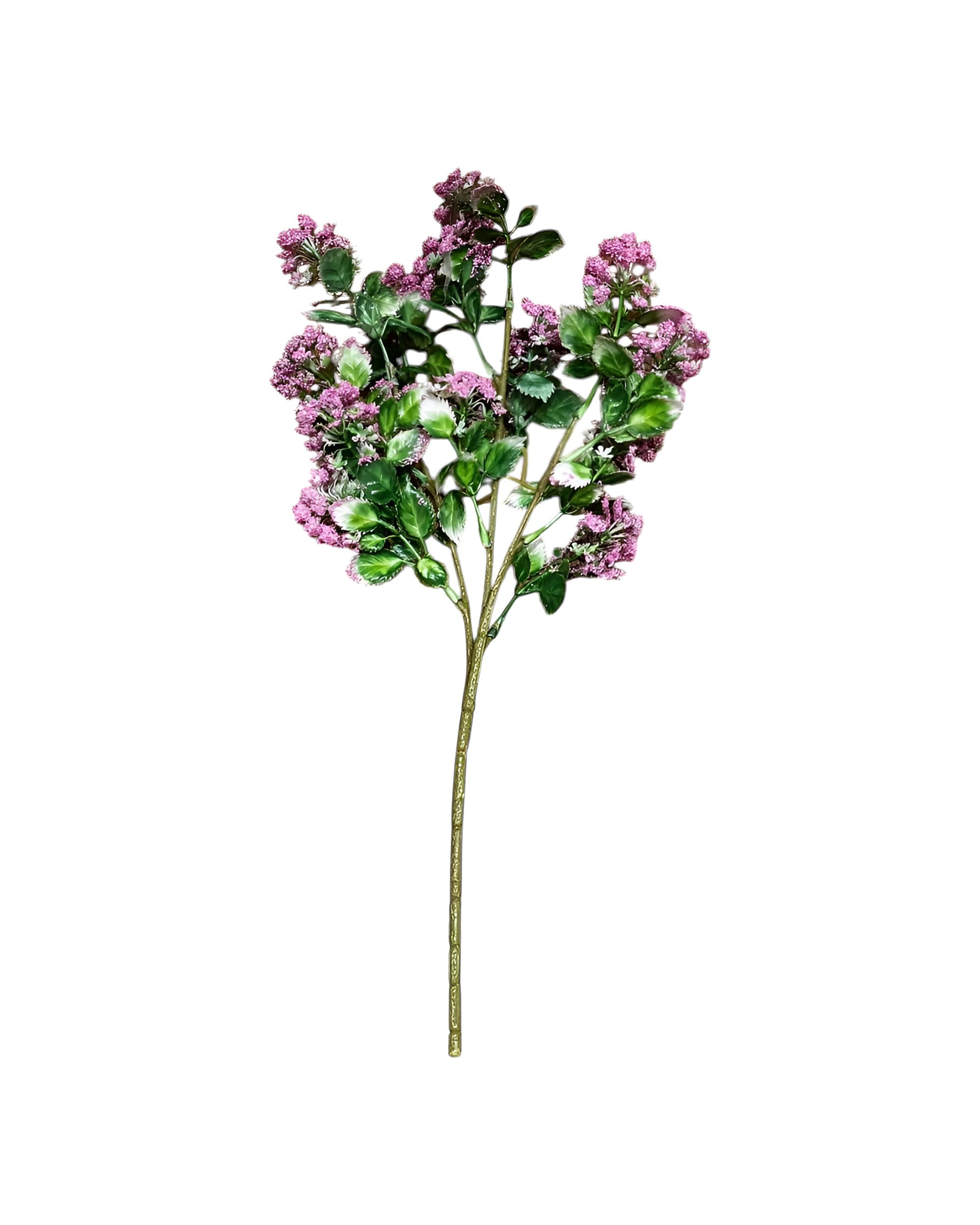 RENKLİ CİPSO DEMETİ 0