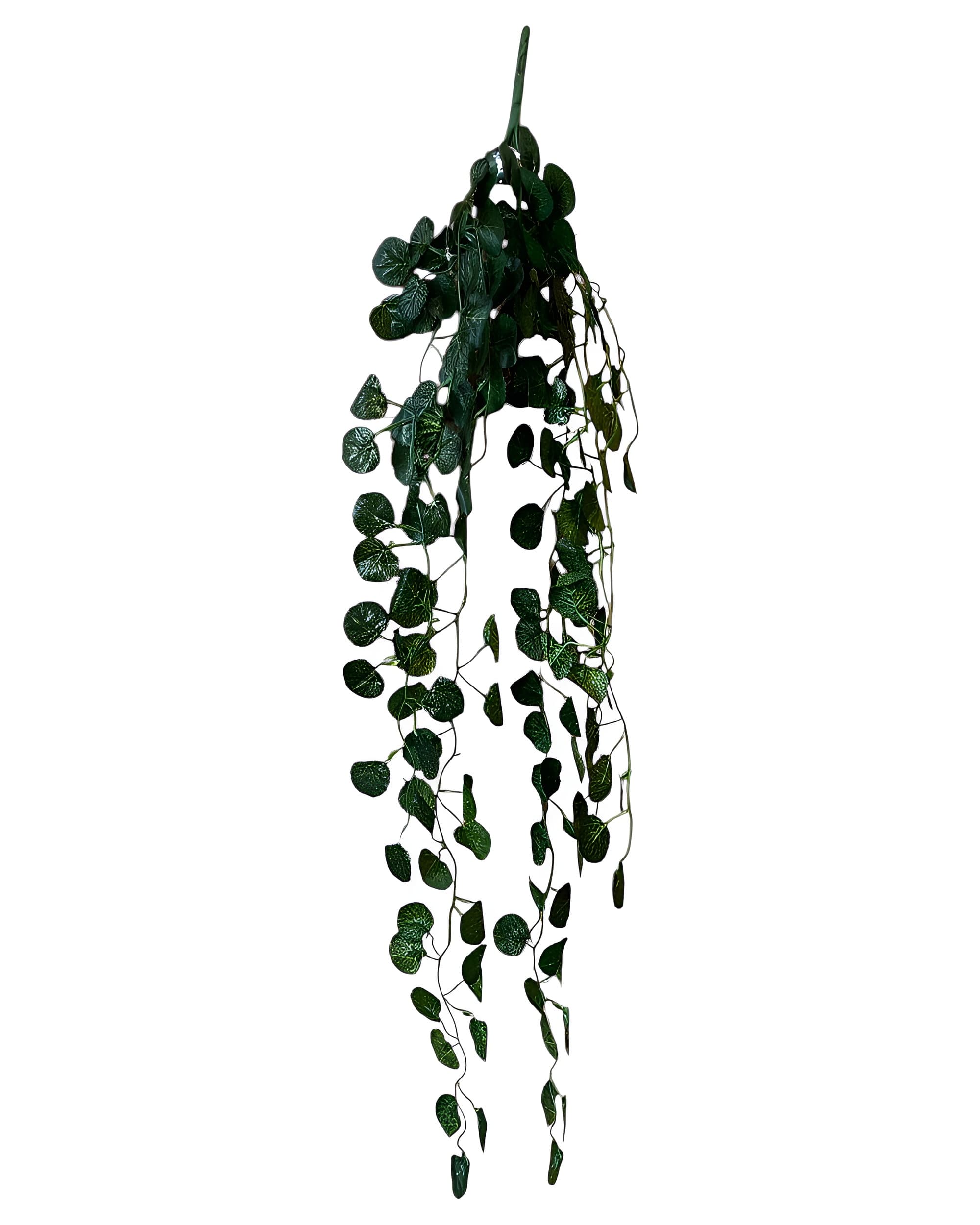 5 DALLI YUVARLAK YAPRAKLI SARKAN SARMAŞIK 85 CM - 2