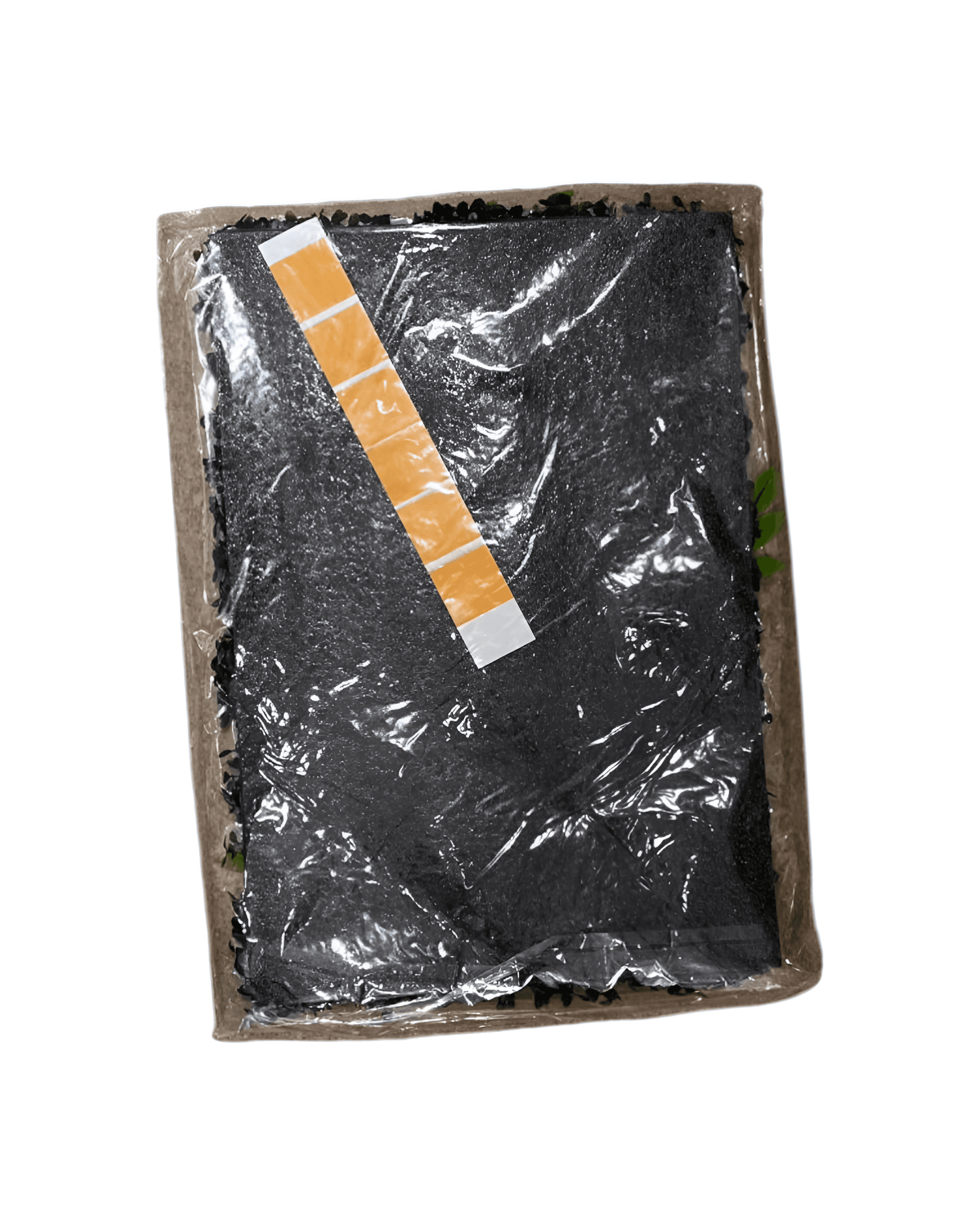 YAPAY ŞİMŞİR (YAPIŞKANLI) 1