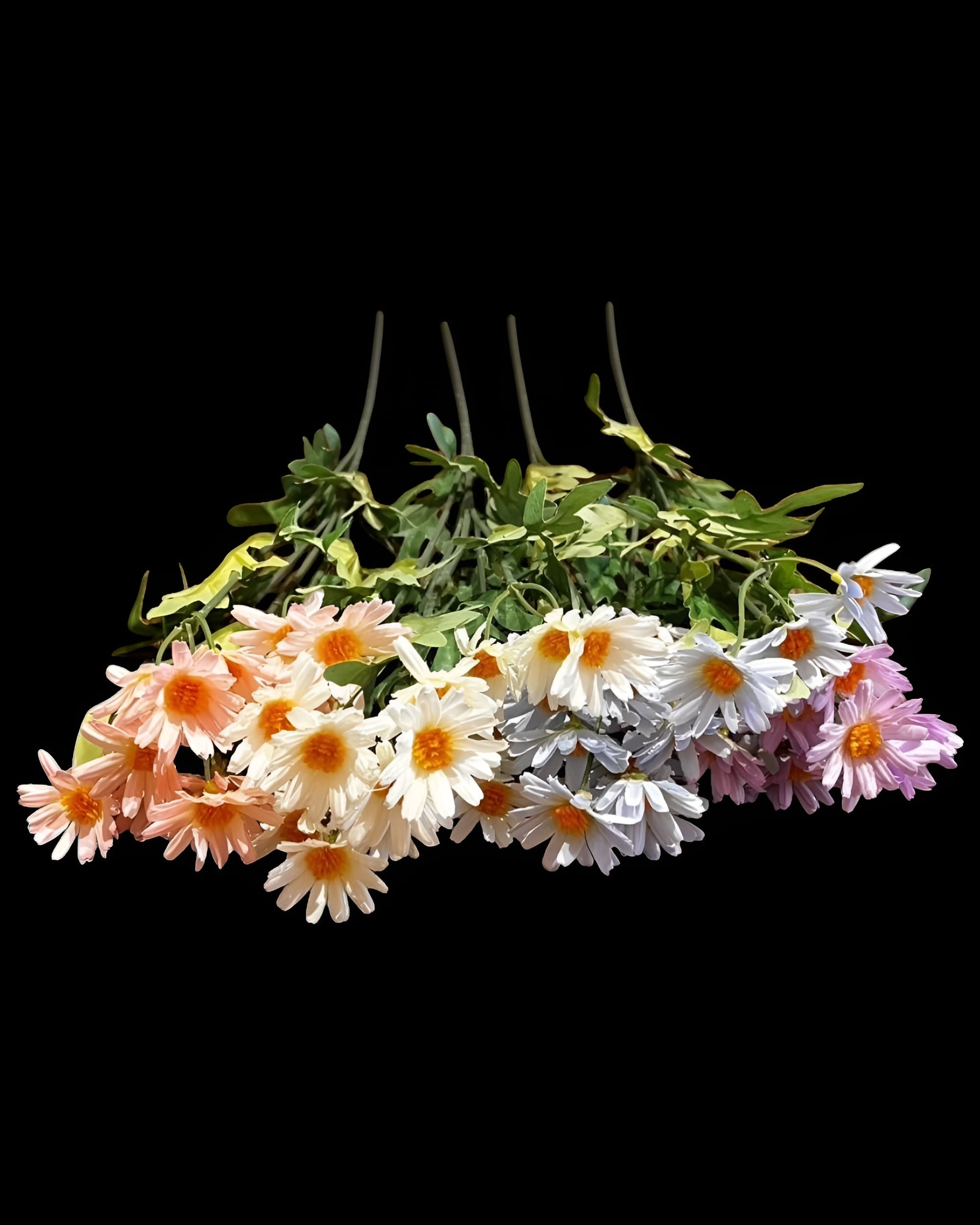 5 DALLI UZUN PAPATYA 55 CM 5