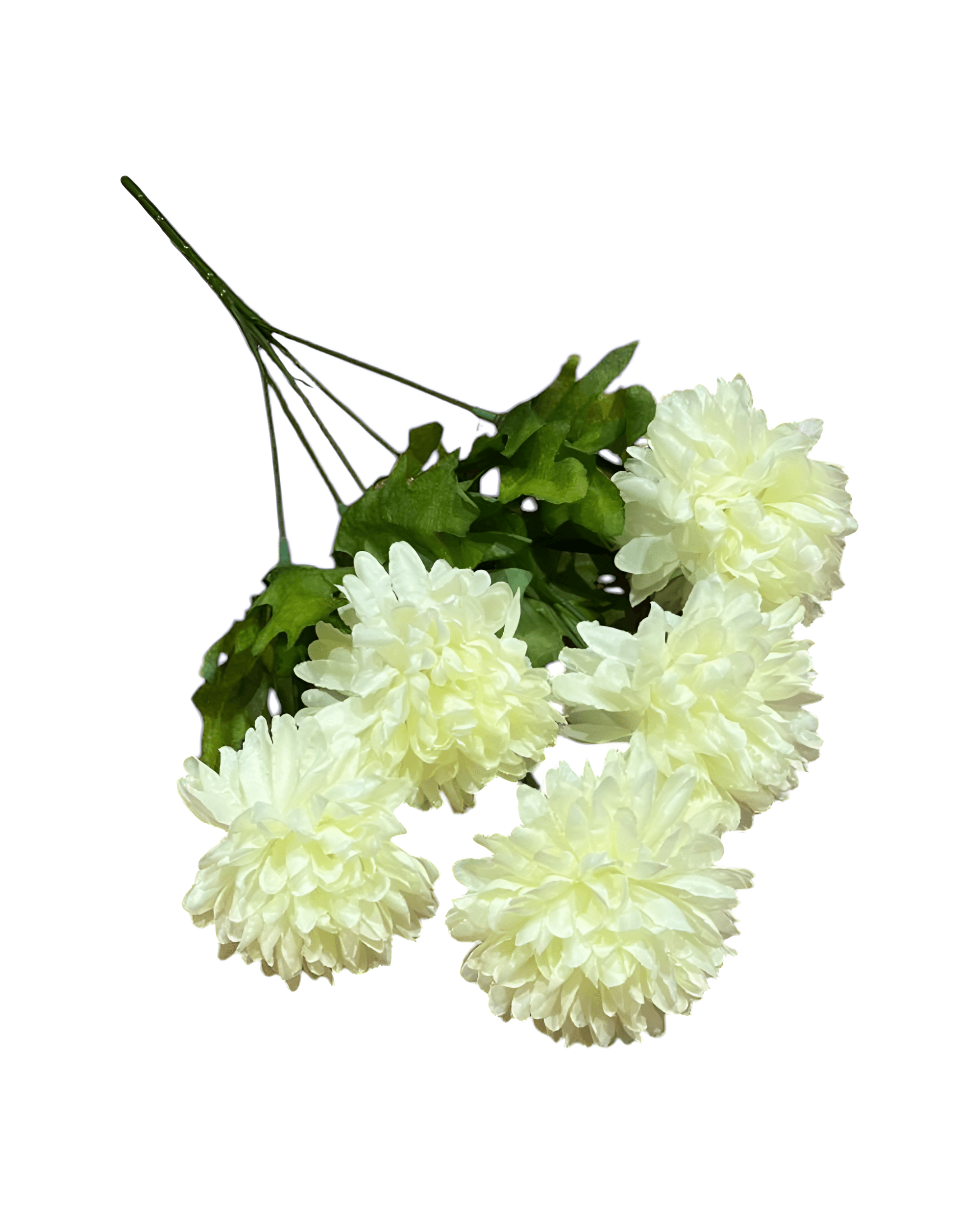 5 DALLI KASIMPATI - 5