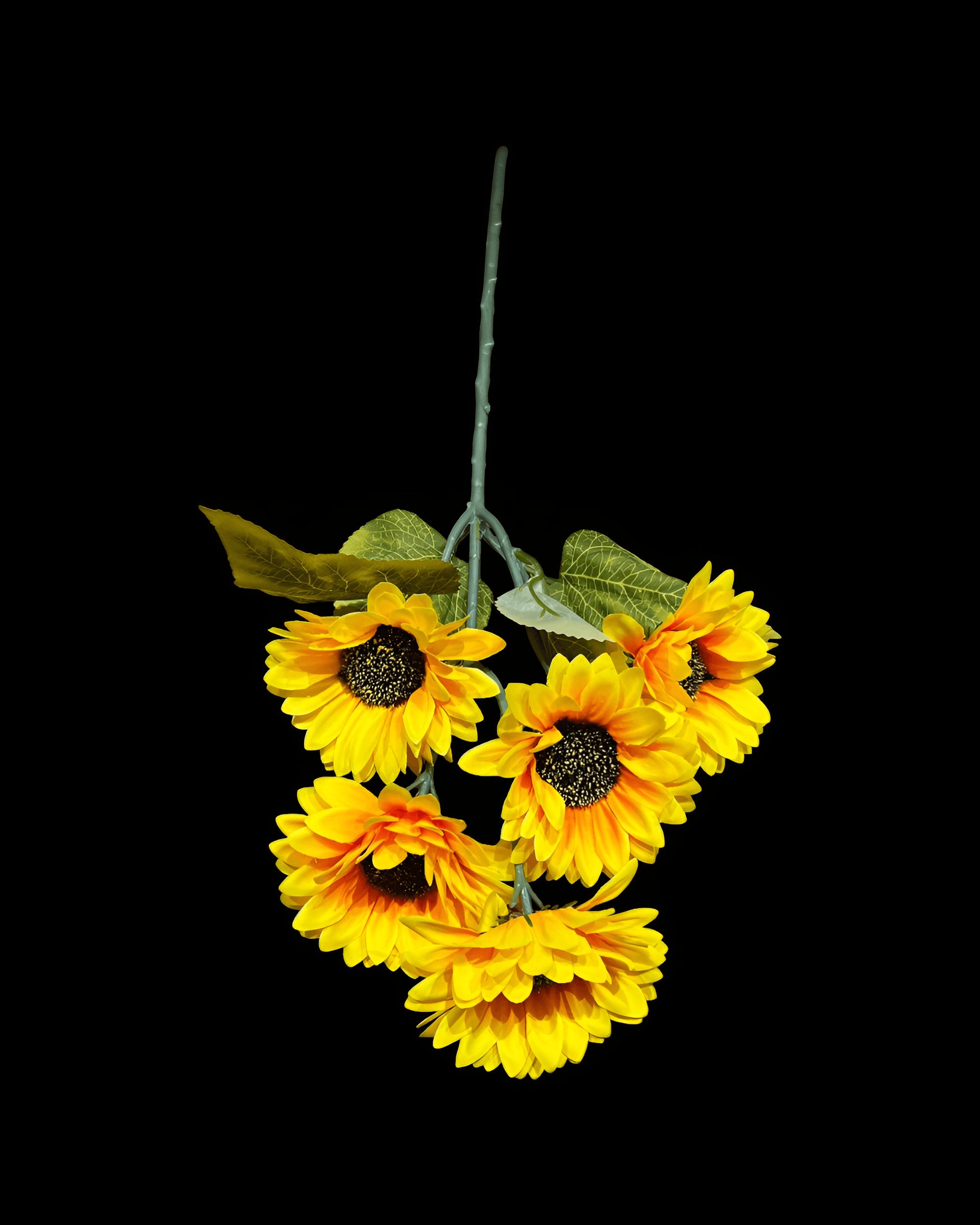 5 BAŞLI AY ÇİÇEĞİ 55 CM 1