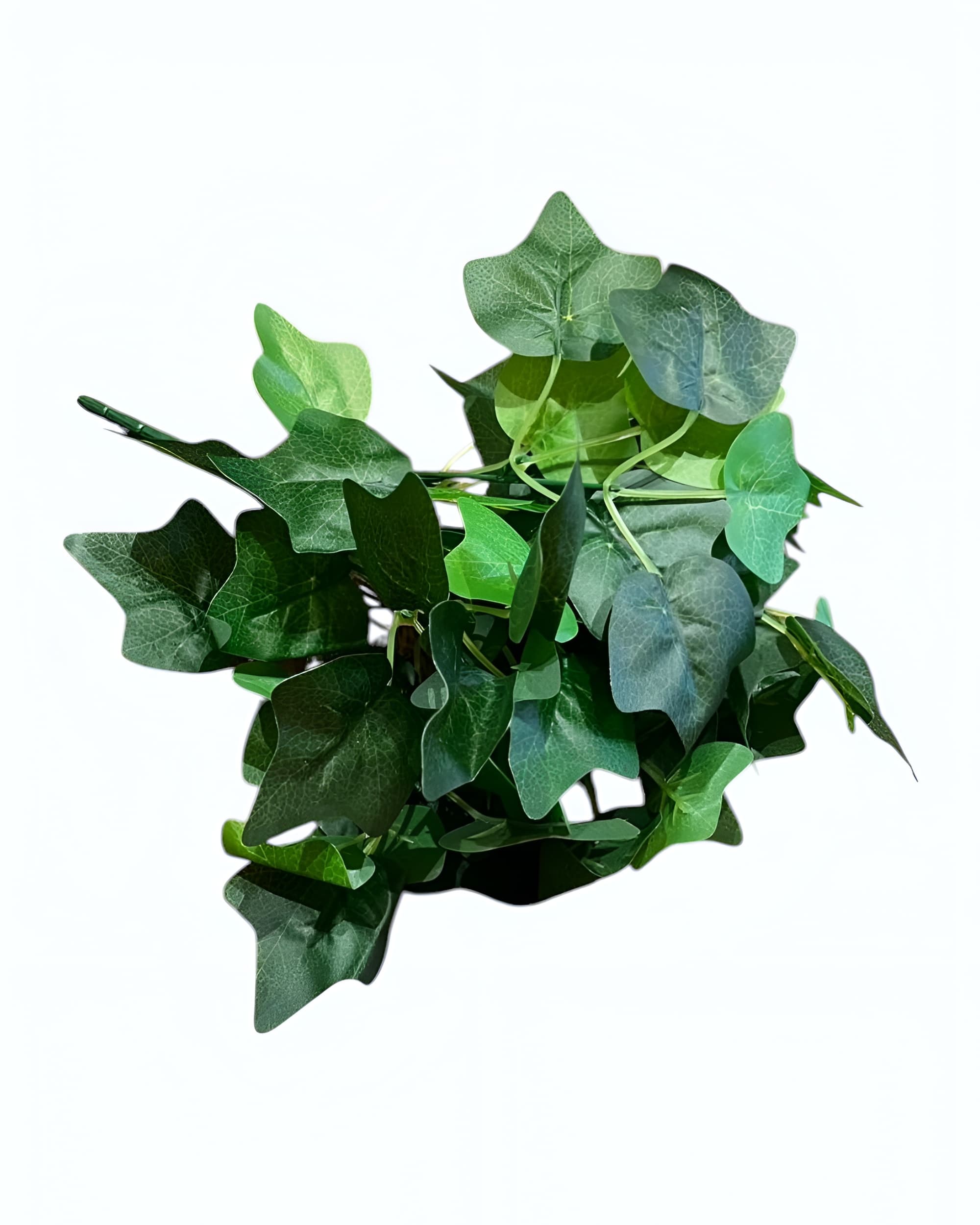 7 DALLI YEŞİLLİK DEMETİ 2