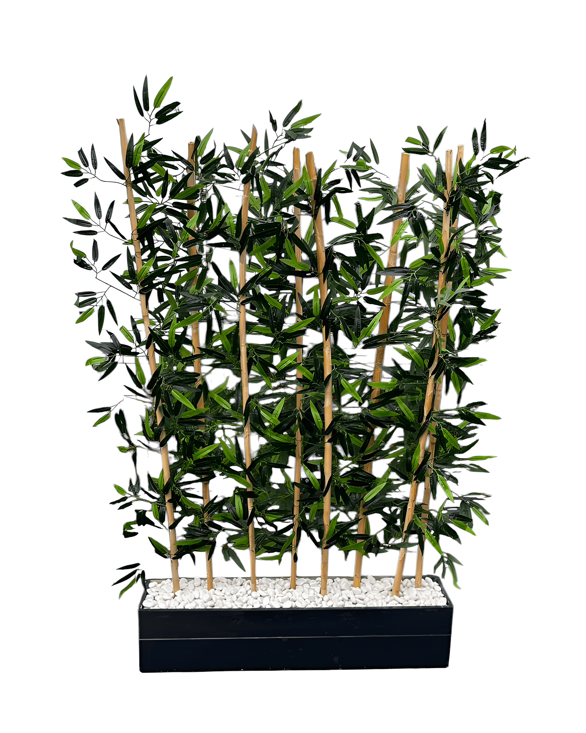 BAMBU ÇİT SAKSILI 4