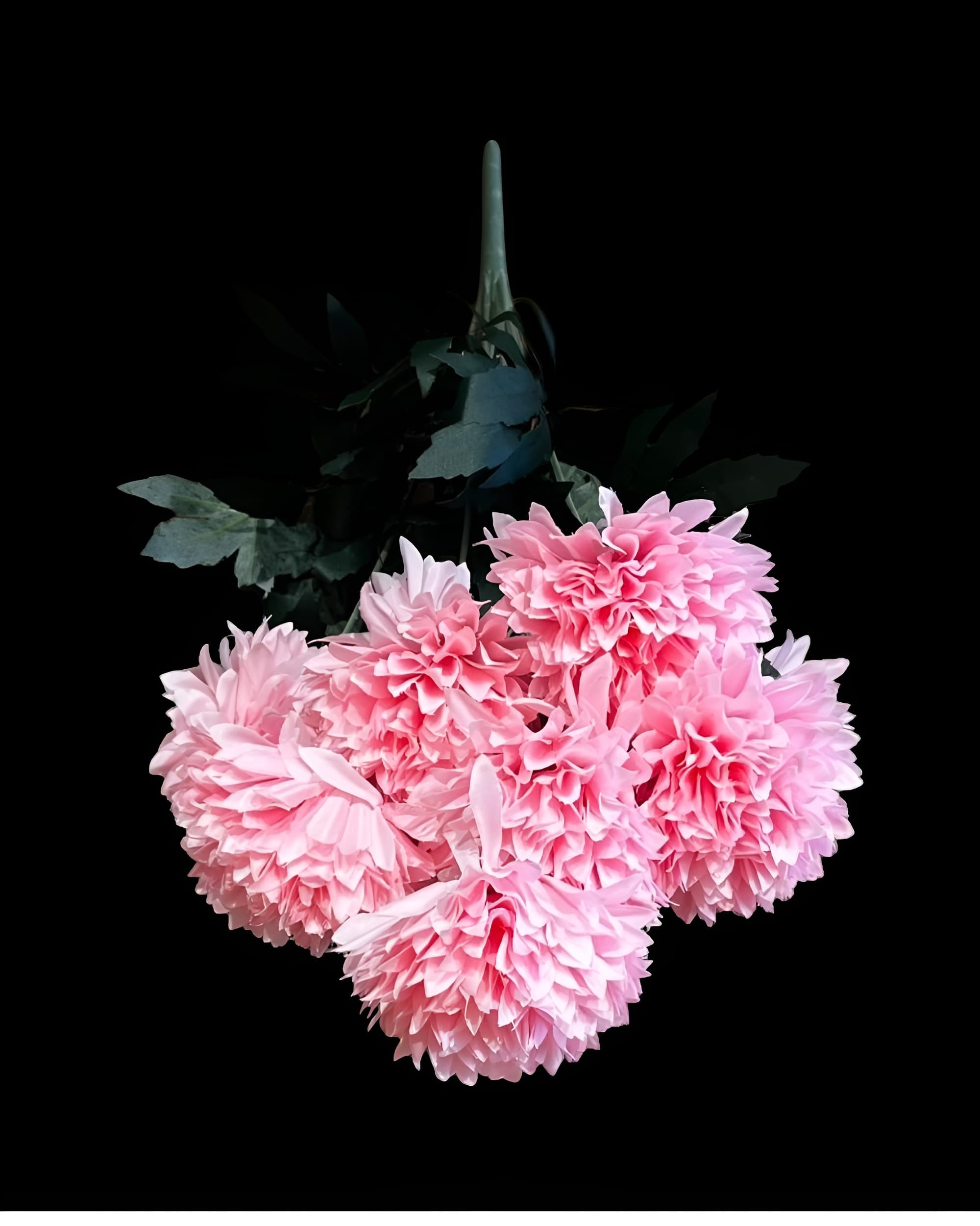 10 BAŞLI KRİZANTEM DEMETİ 50 CM 2