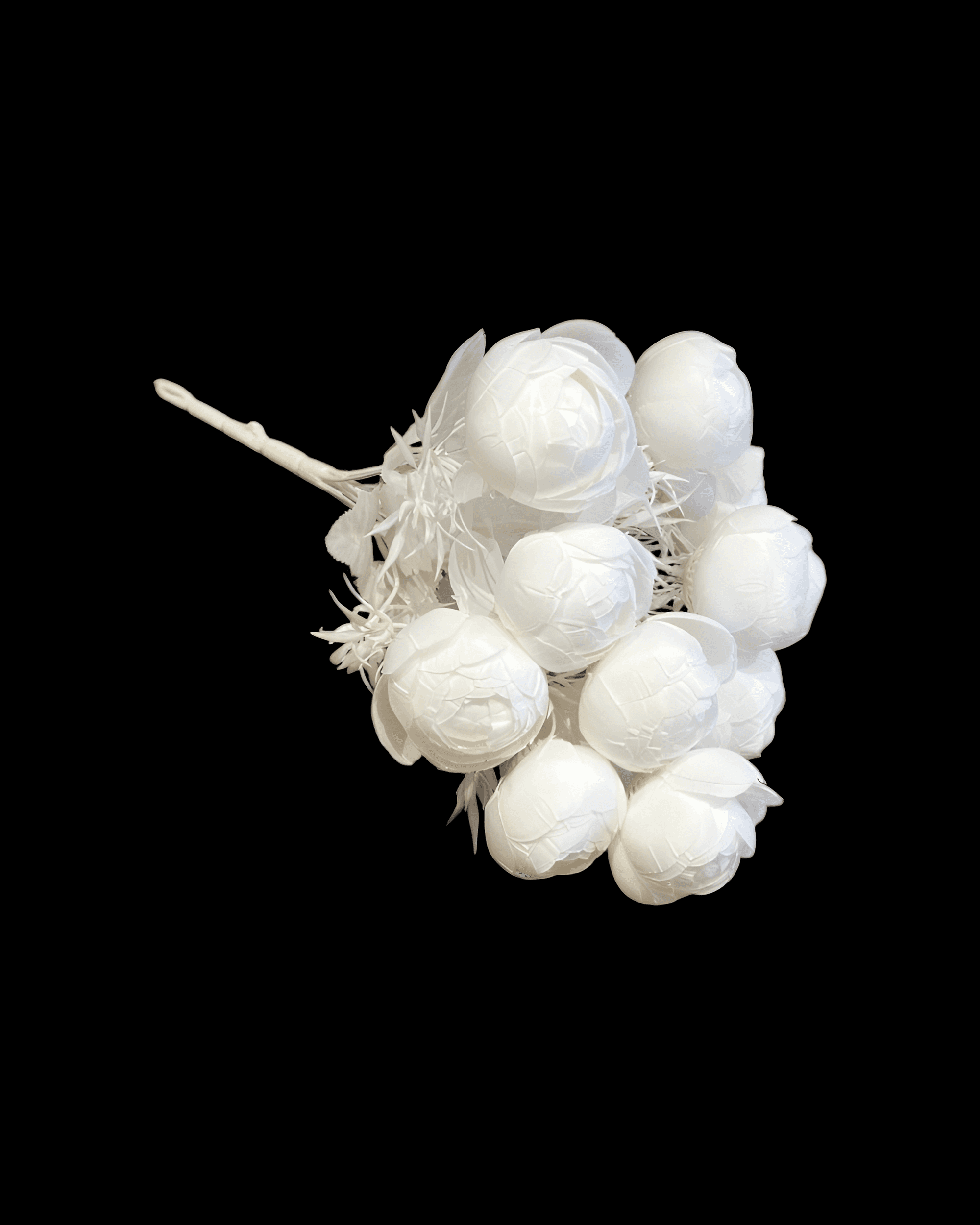 12 BAŞLI ŞAKAYIK - 7