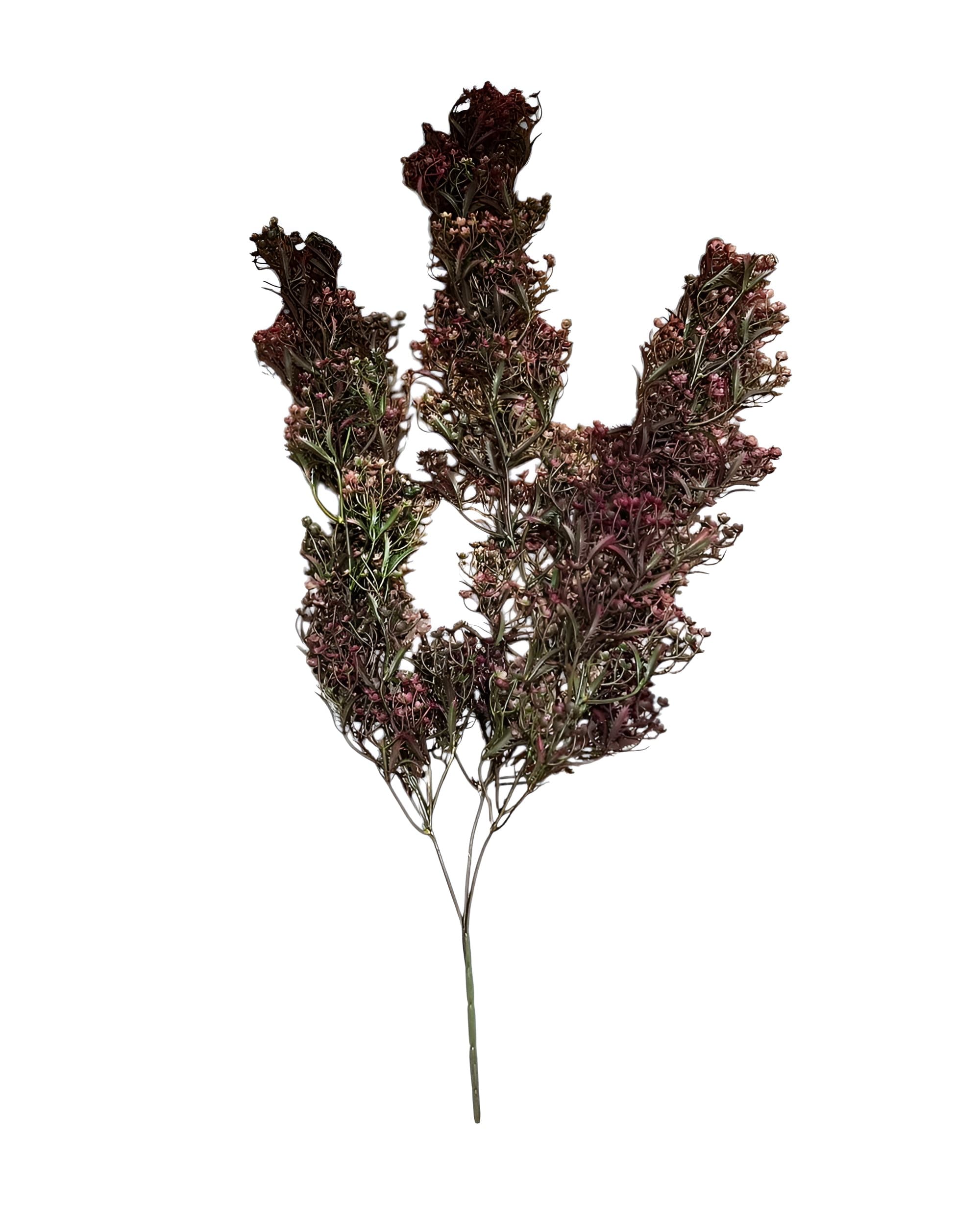 SARKAN CİSO SONBAHAR SARMAŞIK 75 CM 1