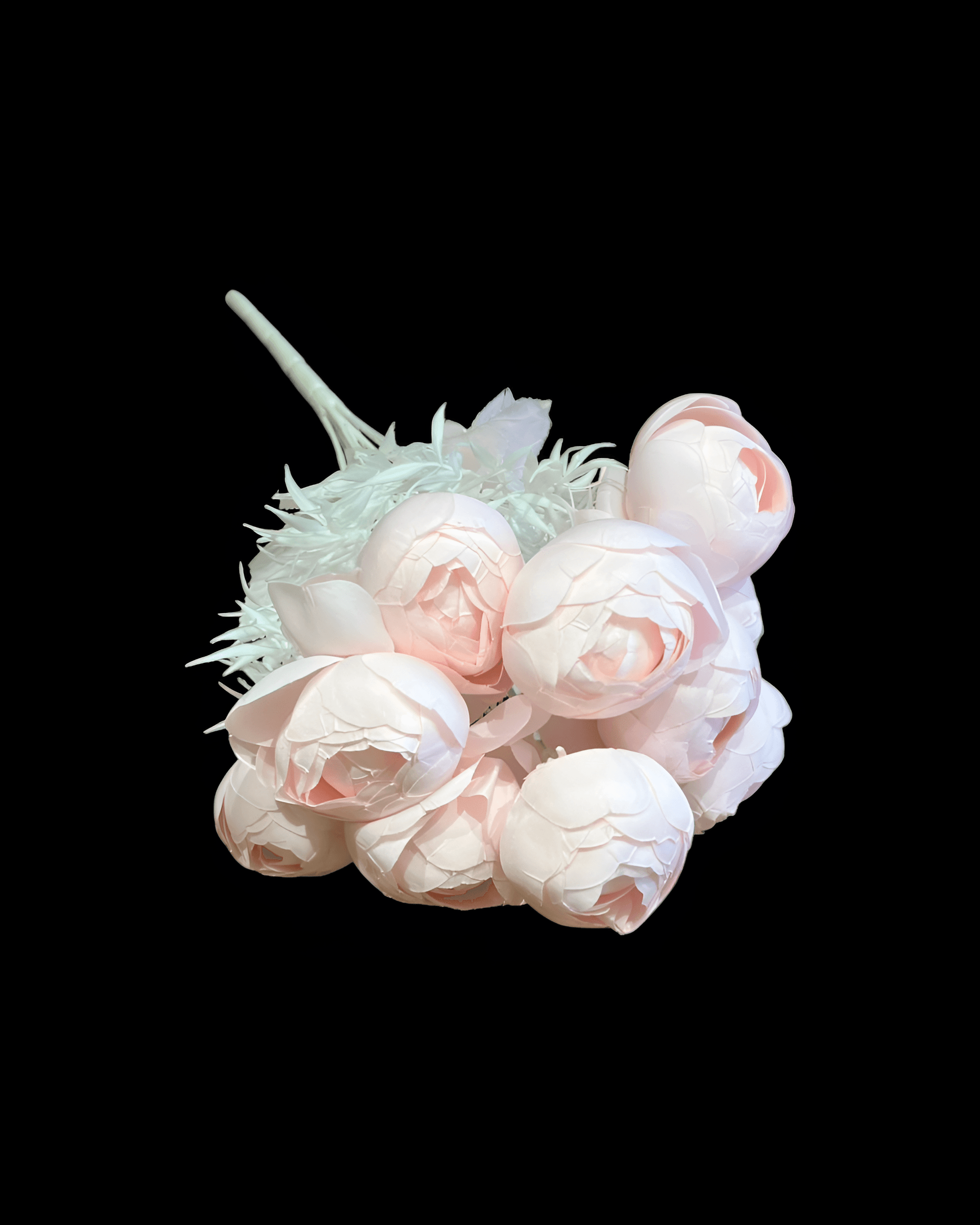 12 BAŞLI ŞAKAYIK - 10