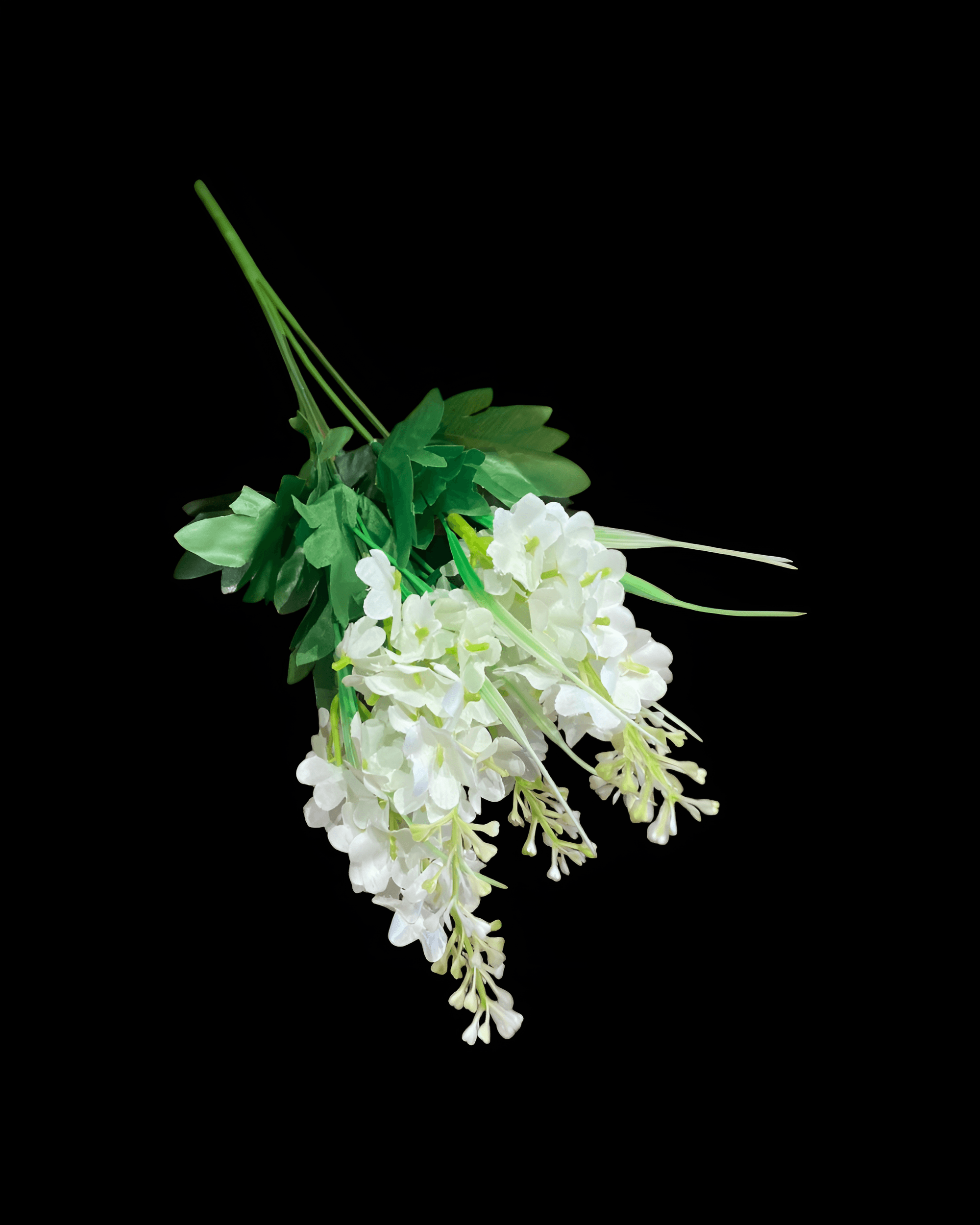 5 DALLI SÜMBÜL DEMETİ - 2