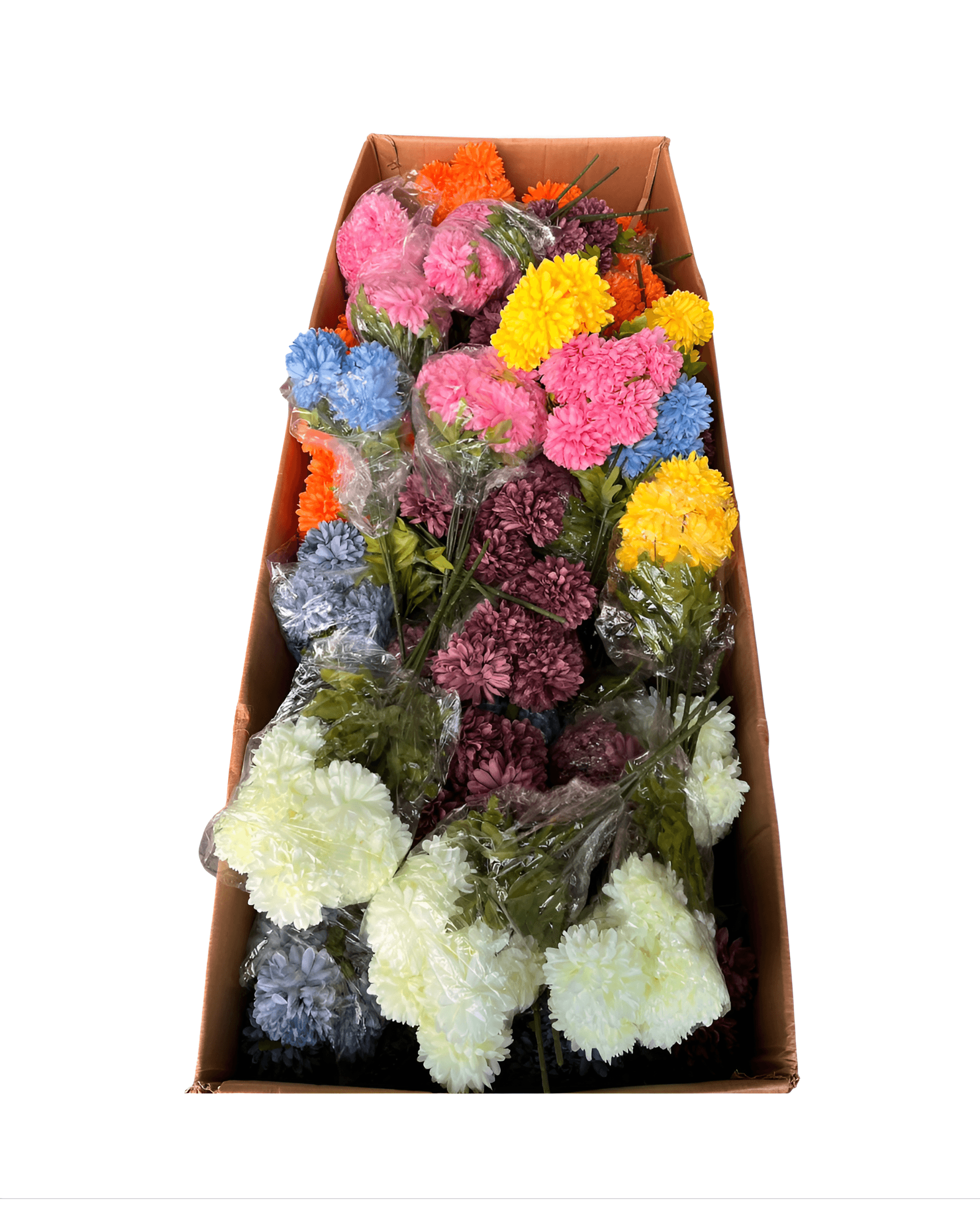 5 DALLI KASIMPATI - 6